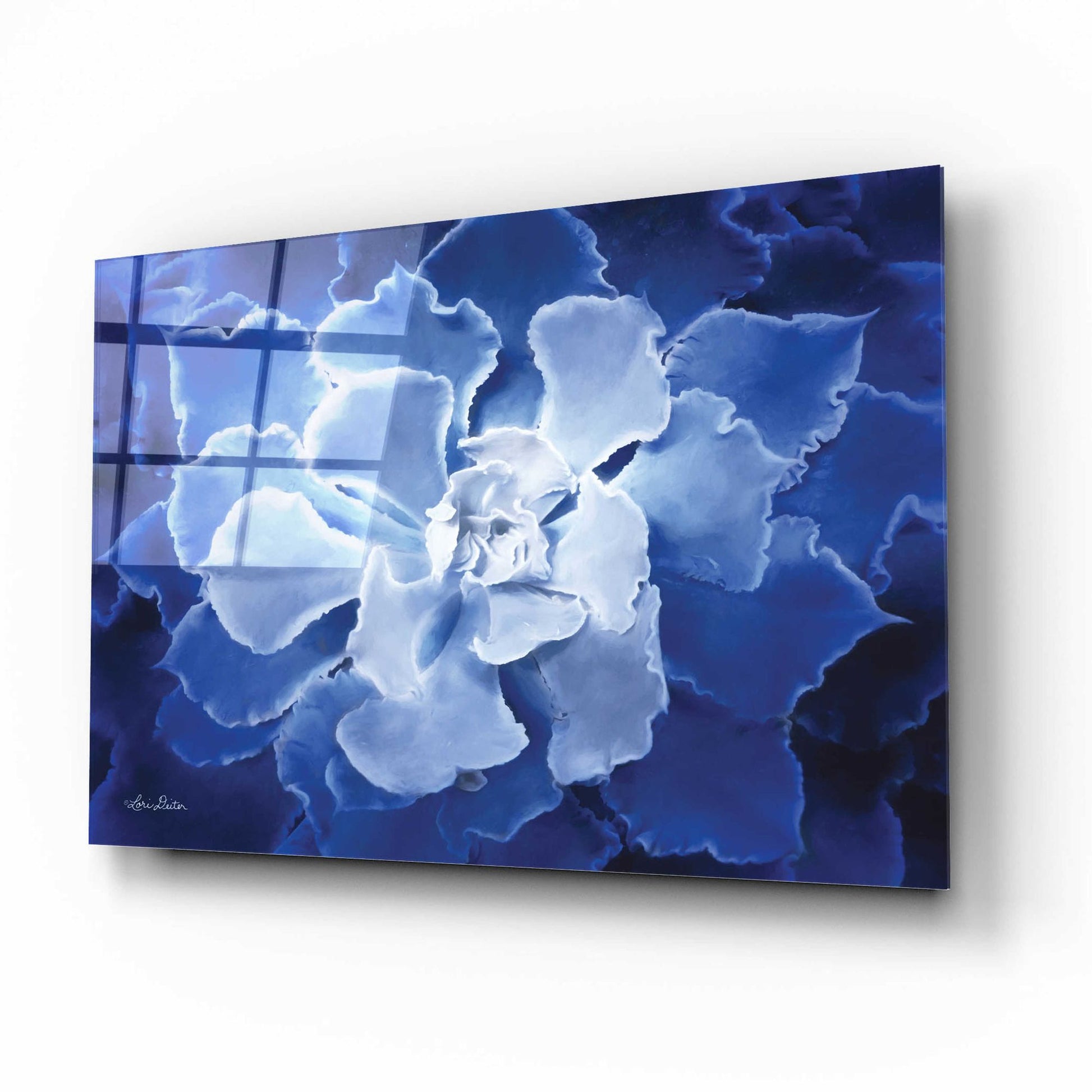 Epic Art 'Blue Succulent I' by Lori Deiter Acrylic Glass Wall Art,16x12