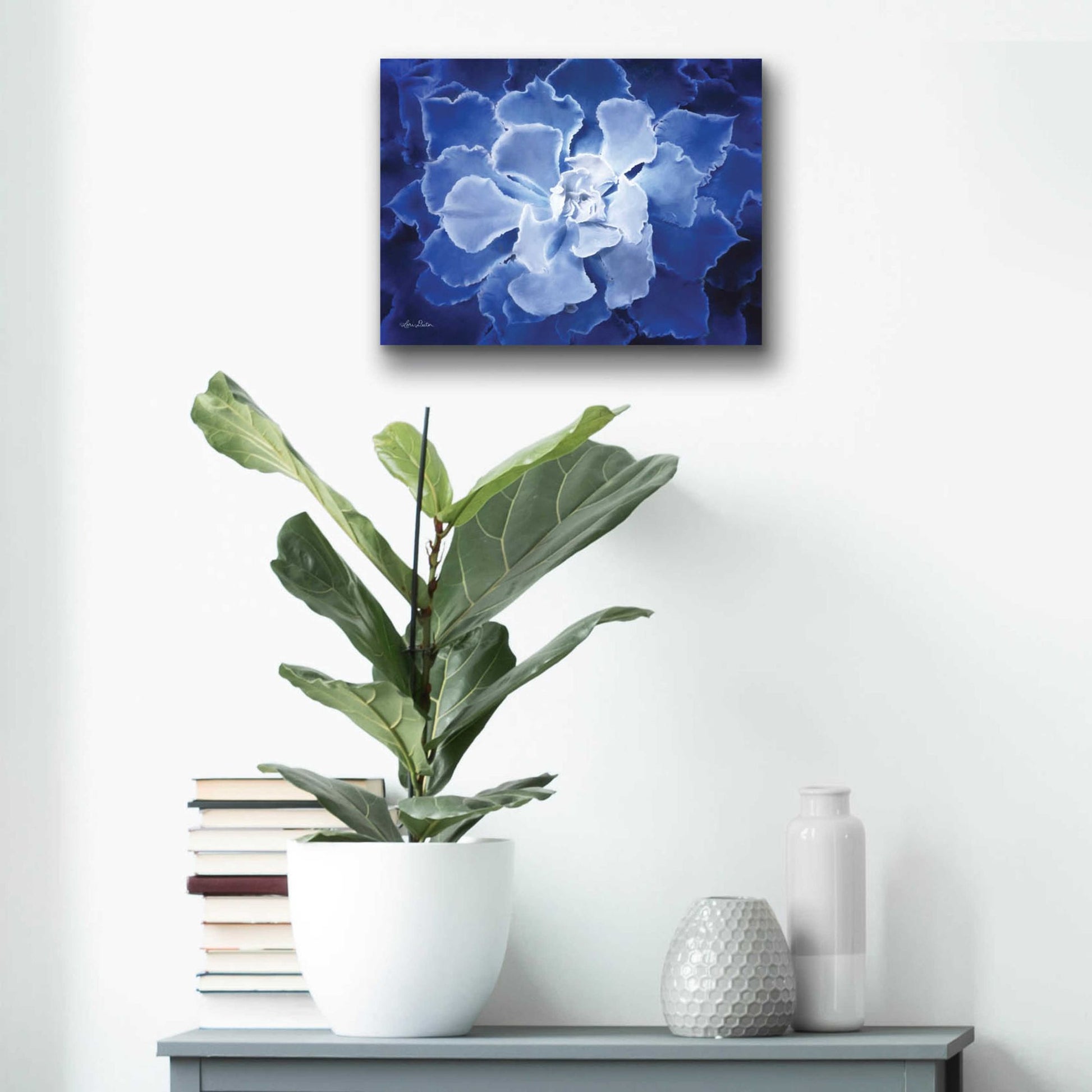 Epic Art 'Blue Succulent I' by Lori Deiter Acrylic Glass Wall Art,16x12