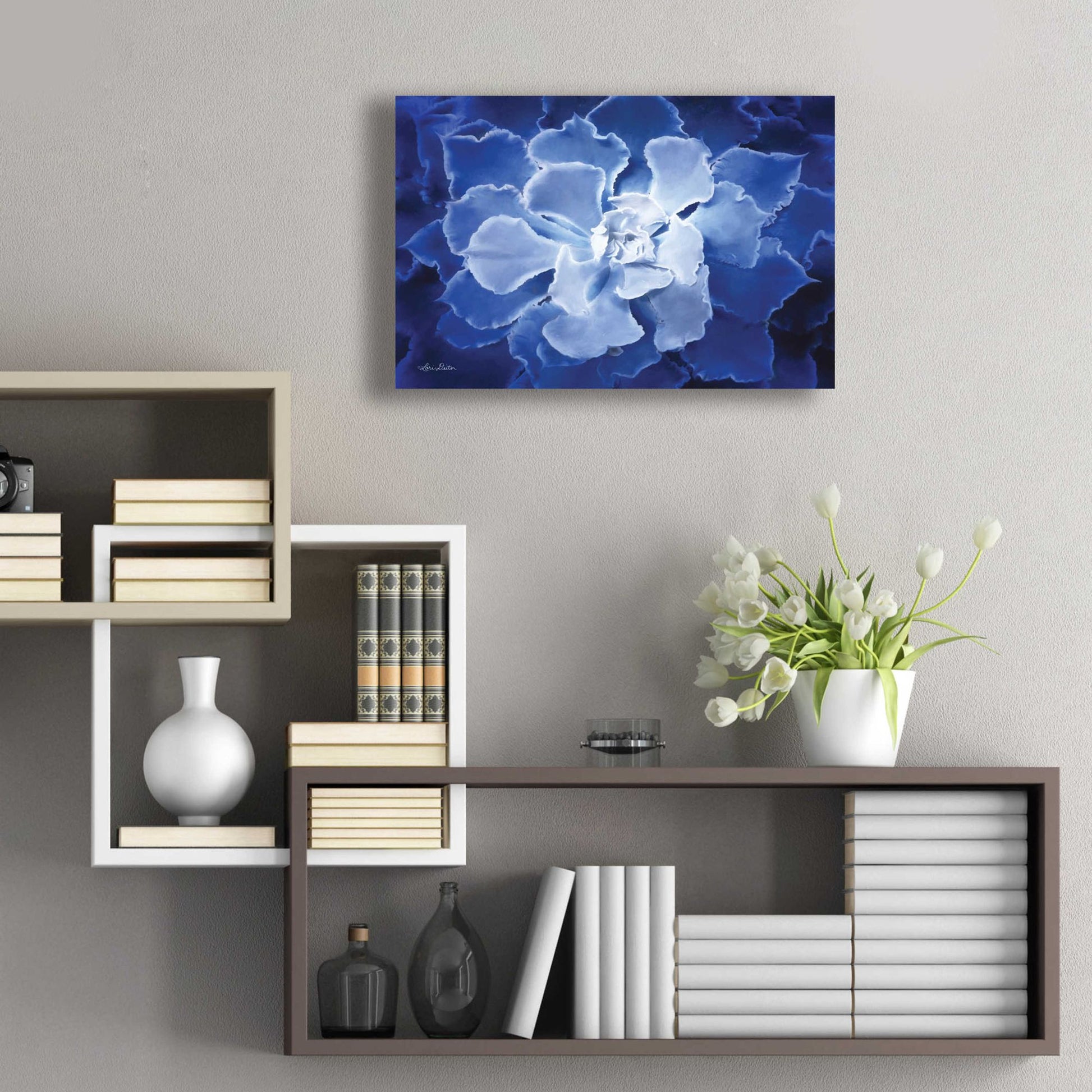 Epic Art 'Blue Succulent I' by Lori Deiter Acrylic Glass Wall Art,24x16