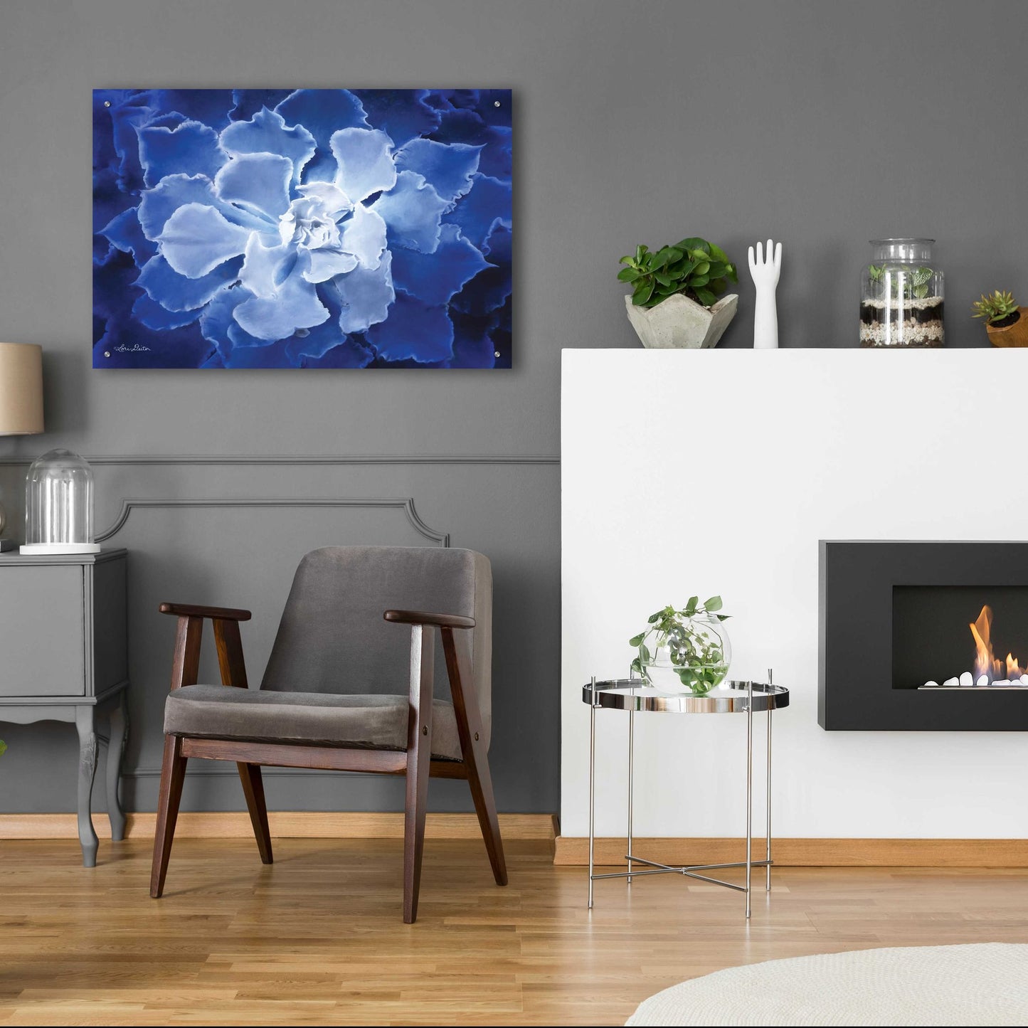 Epic Art 'Blue Succulent I' by Lori Deiter Acrylic Glass Wall Art,36x24