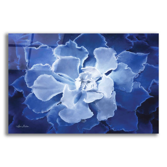 Epic Art 'Blue Succulent I' by Lori Deiter Acrylic Glass Wall Art