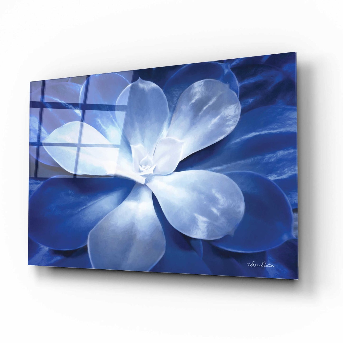 Epic Art 'Blue Succulent II' by Lori Deiter Acrylic Glass Wall Art,16x12