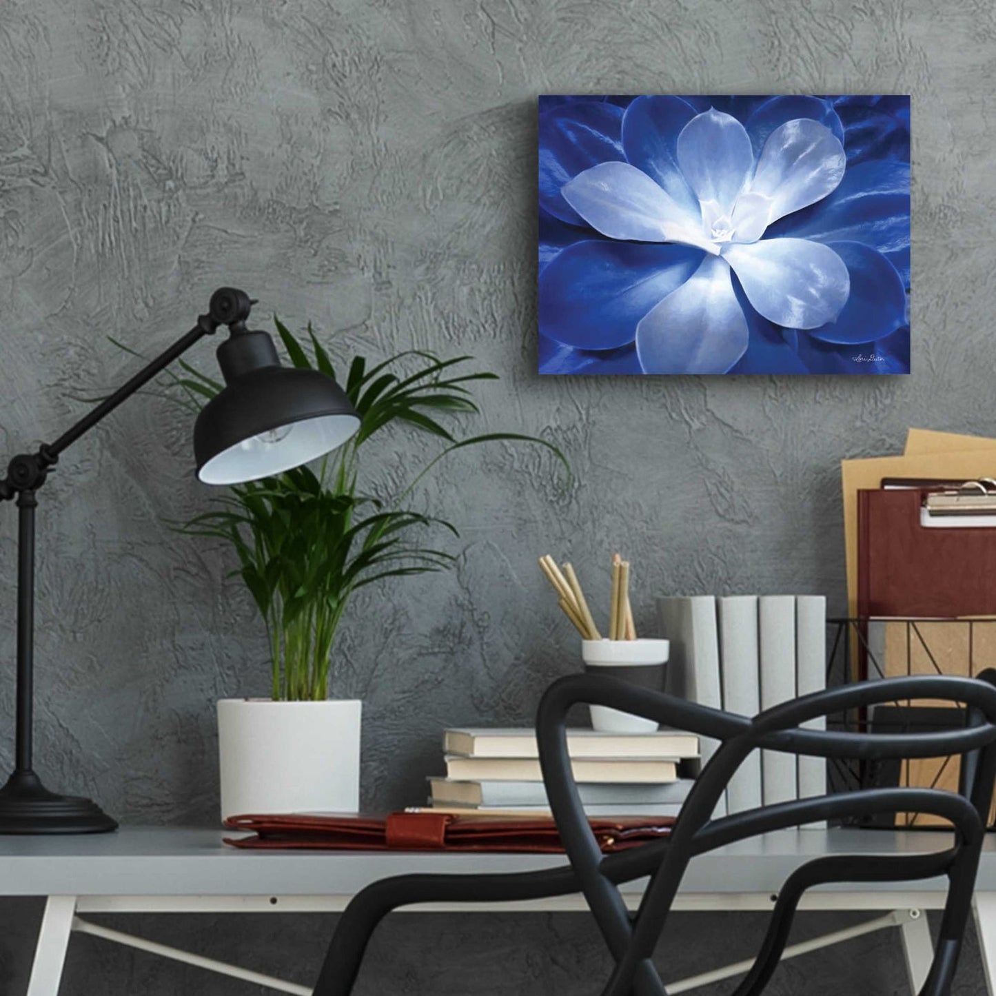 Epic Art 'Blue Succulent II' by Lori Deiter Acrylic Glass Wall Art,16x12