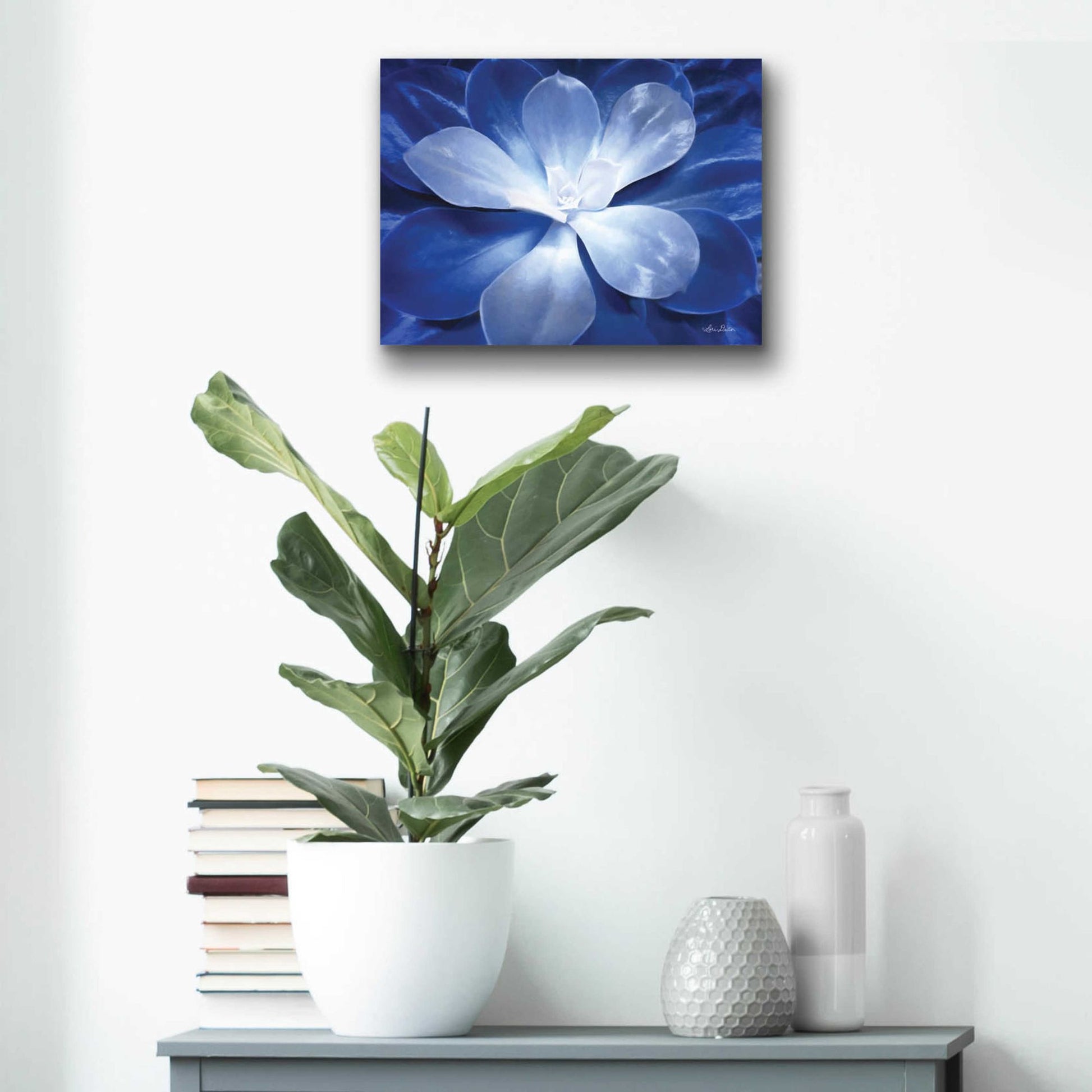 Epic Art 'Blue Succulent II' by Lori Deiter Acrylic Glass Wall Art,16x12