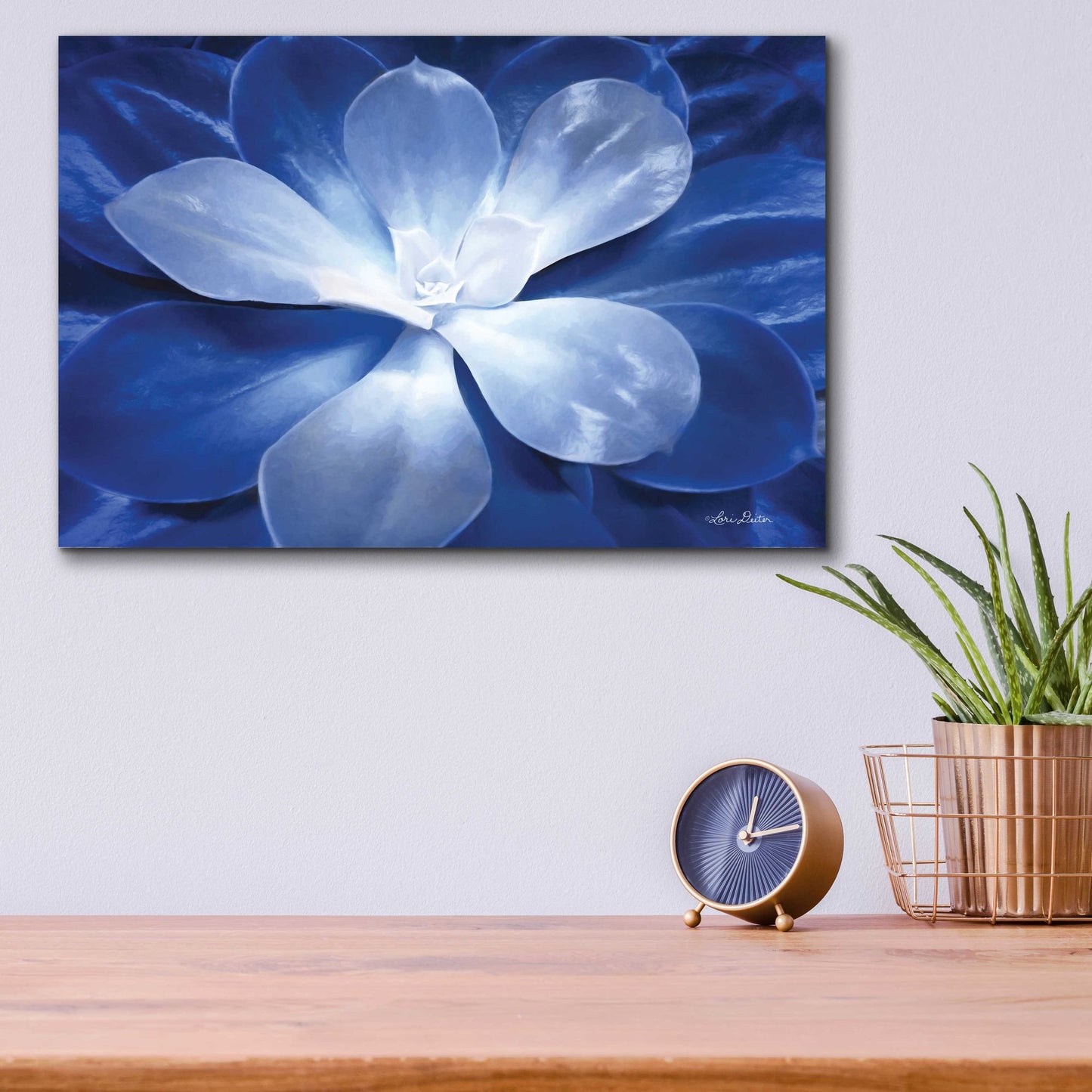 Epic Art 'Blue Succulent II' by Lori Deiter Acrylic Glass Wall Art,16x12