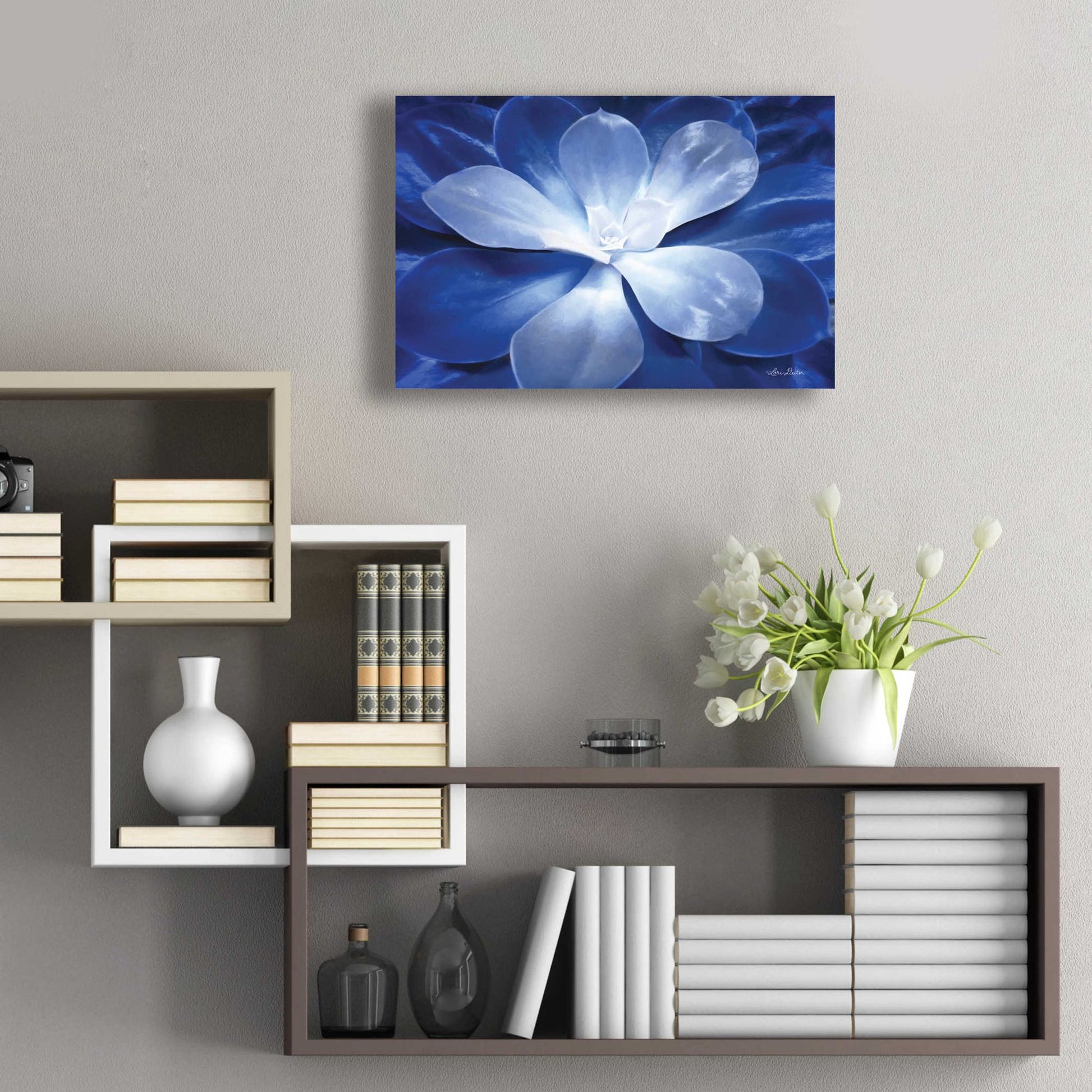 Epic Art 'Blue Succulent II' by Lori Deiter Acrylic Glass Wall Art,24x16