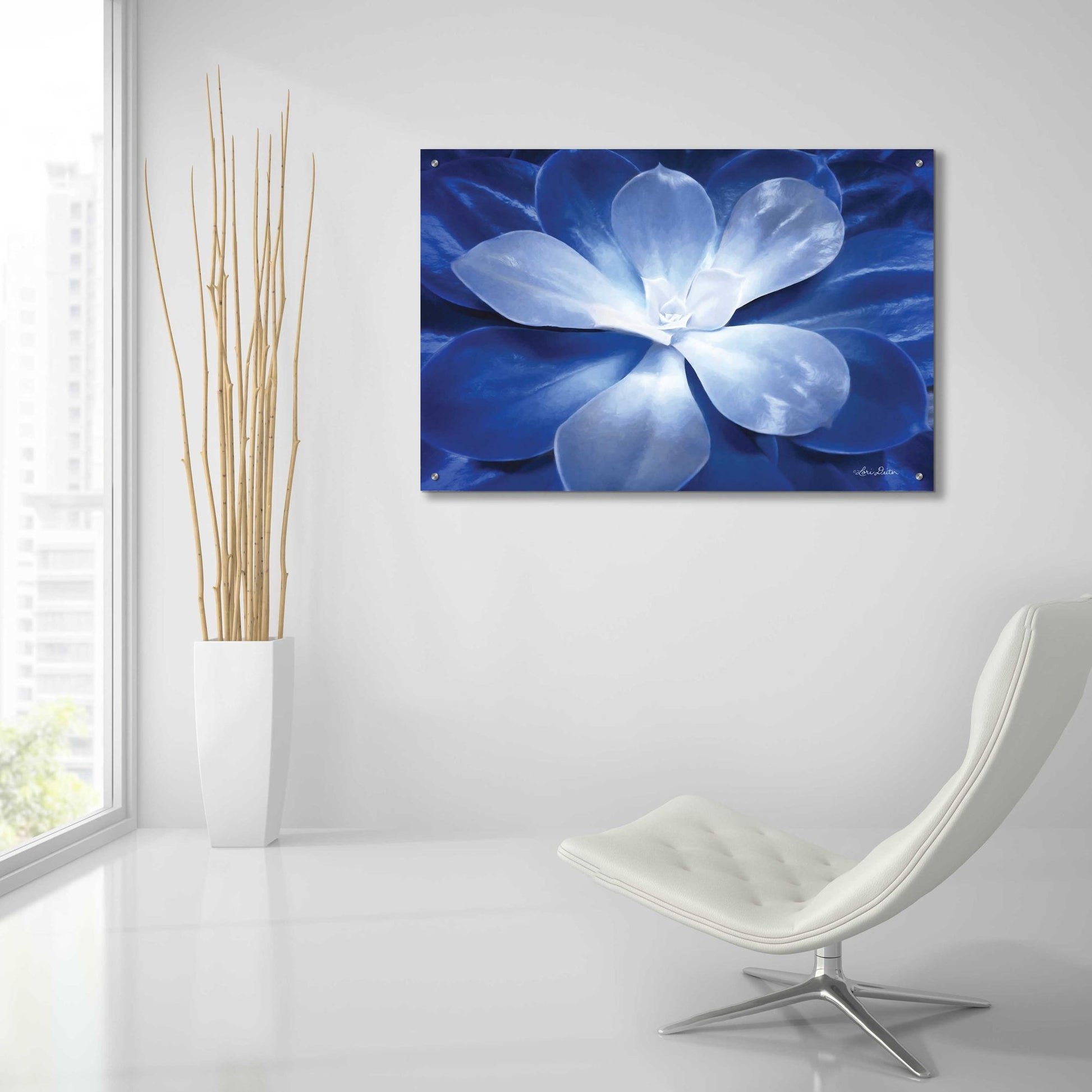 Epic Art 'Blue Succulent II' by Lori Deiter Acrylic Glass Wall Art,36x24