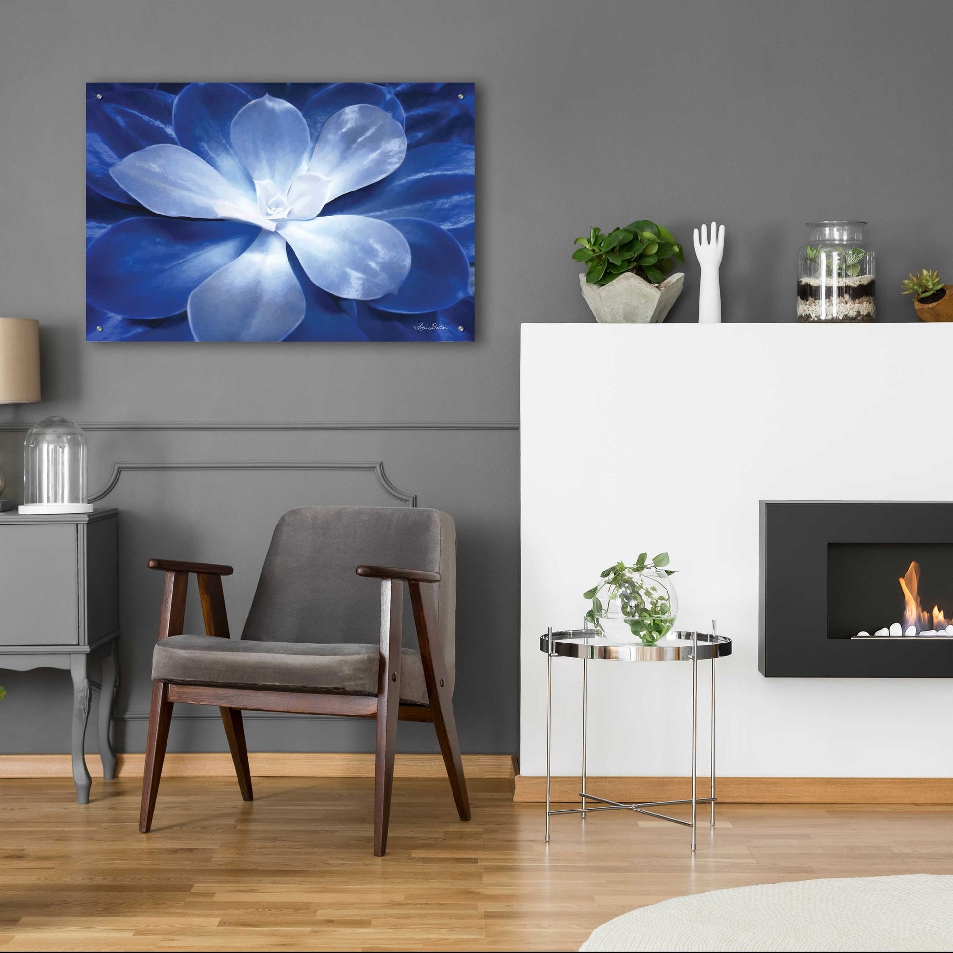 Epic Art 'Blue Succulent II' by Lori Deiter Acrylic Glass Wall Art,36x24