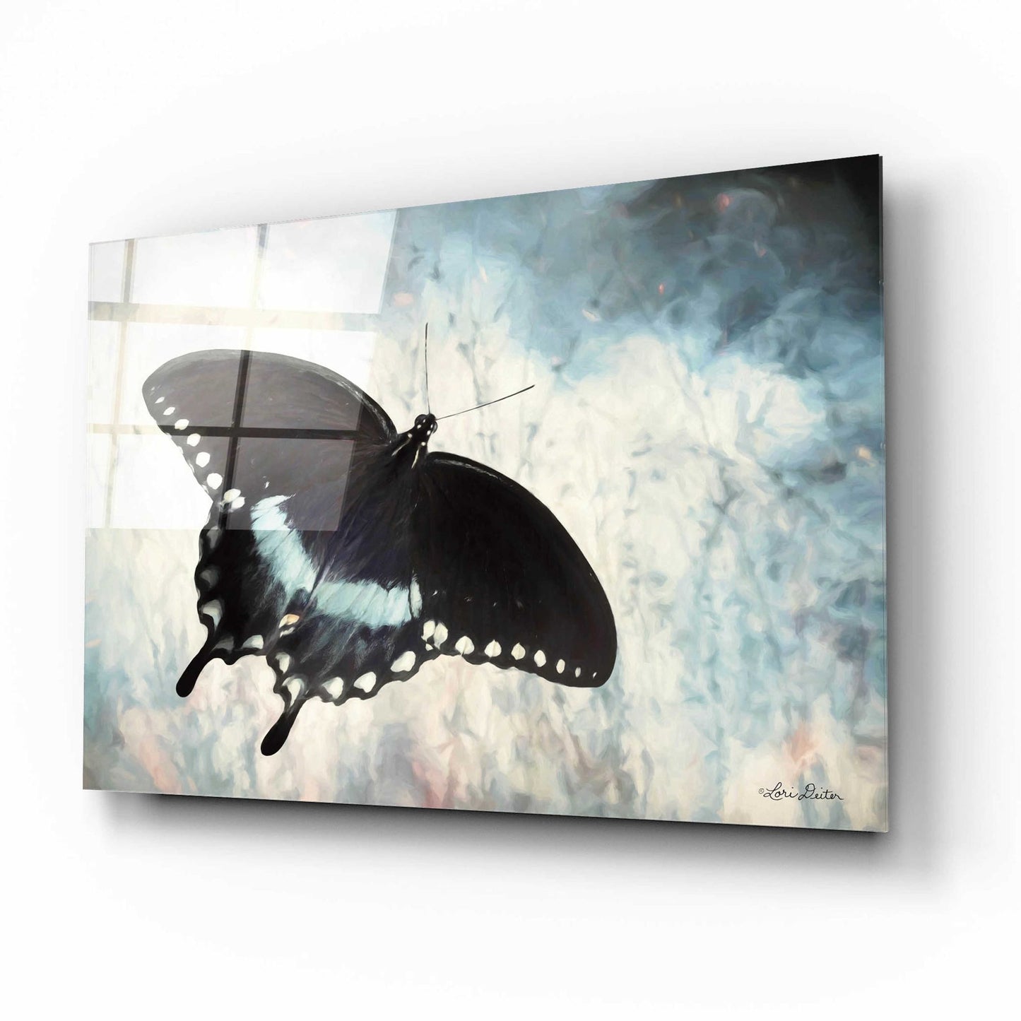 Epic Art 'Teal Butterfly I' by Lori Deiter Acrylic Glass Wall Art,16x12