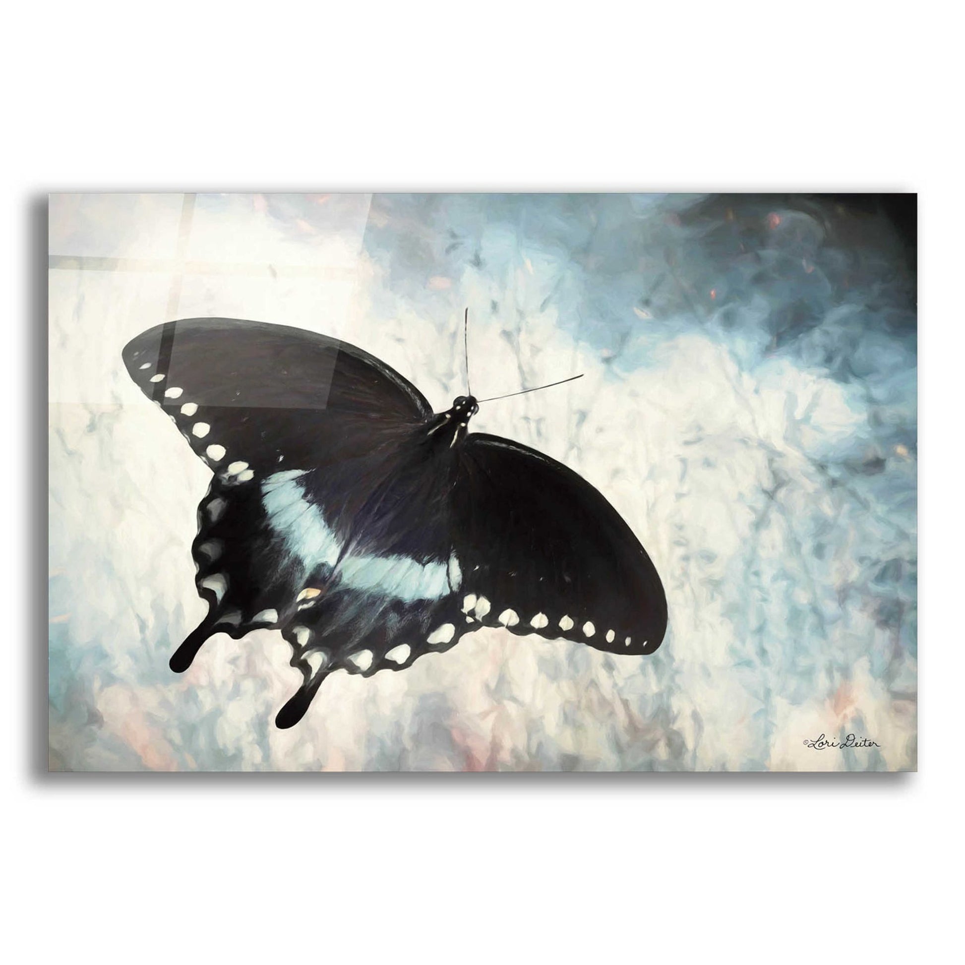 Epic Art 'Teal Butterfly I' by Lori Deiter Acrylic Glass Wall Art,24x16