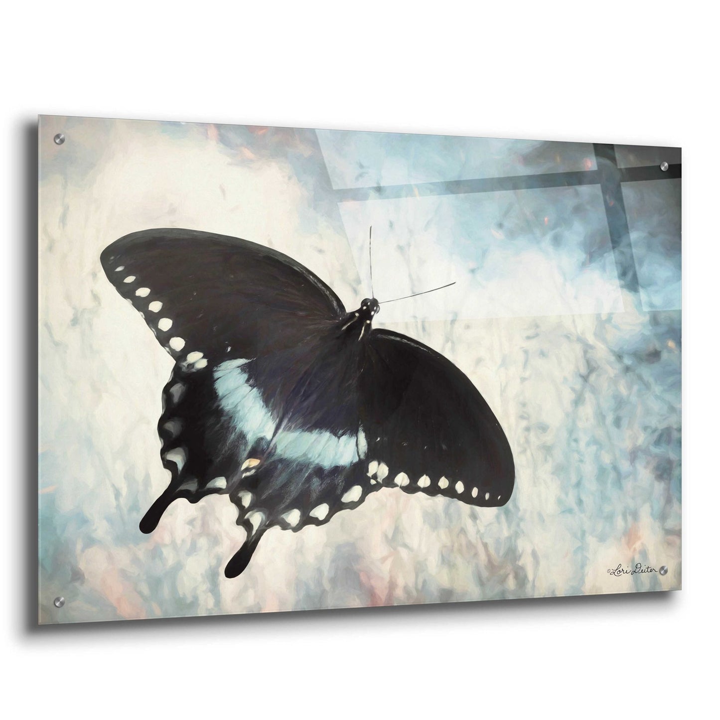 Epic Art 'Teal Butterfly I' by Lori Deiter Acrylic Glass Wall Art,36x24