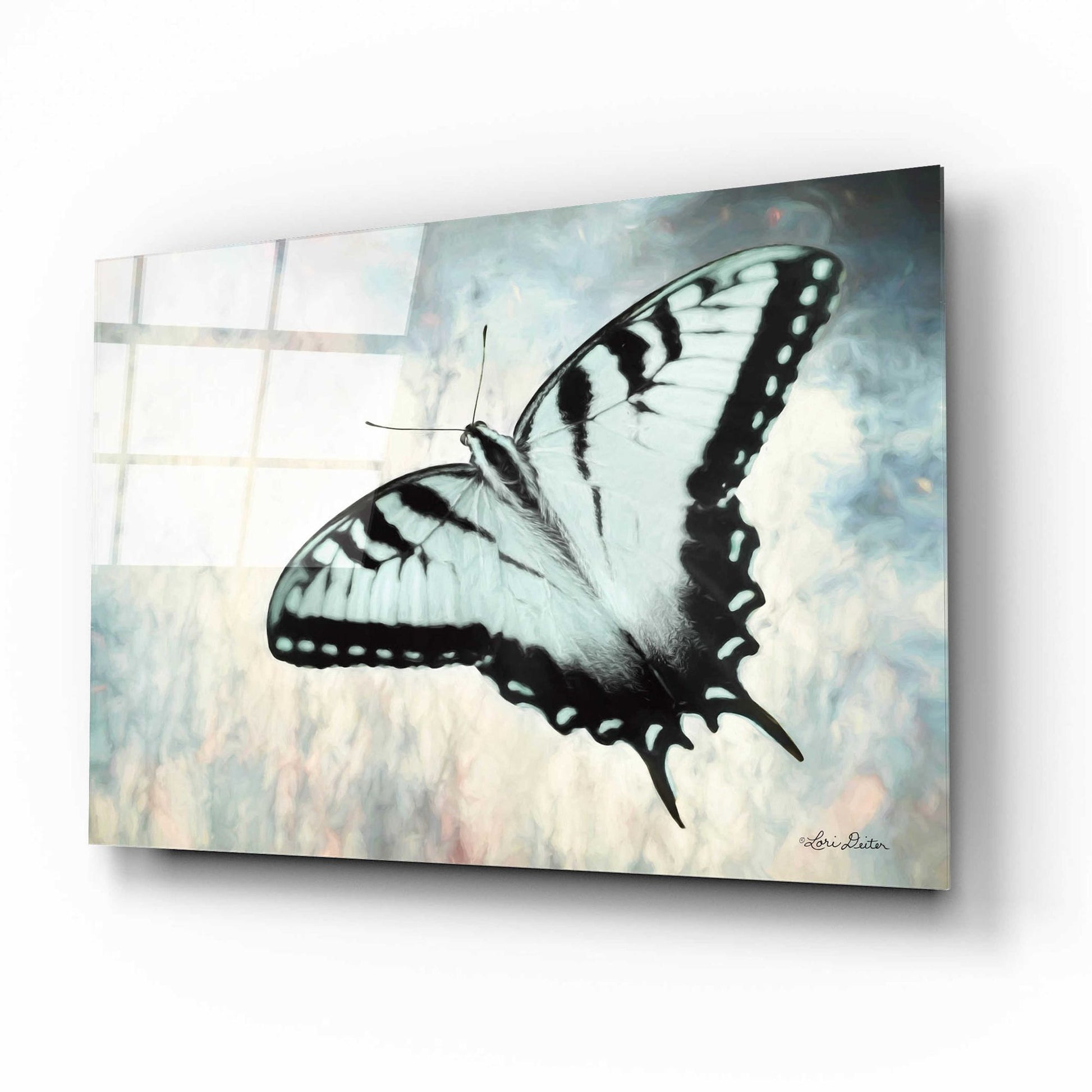 Epic Art 'Teal Butterfly II' by Lori Deiter Acrylic Glass Wall Art,16x12