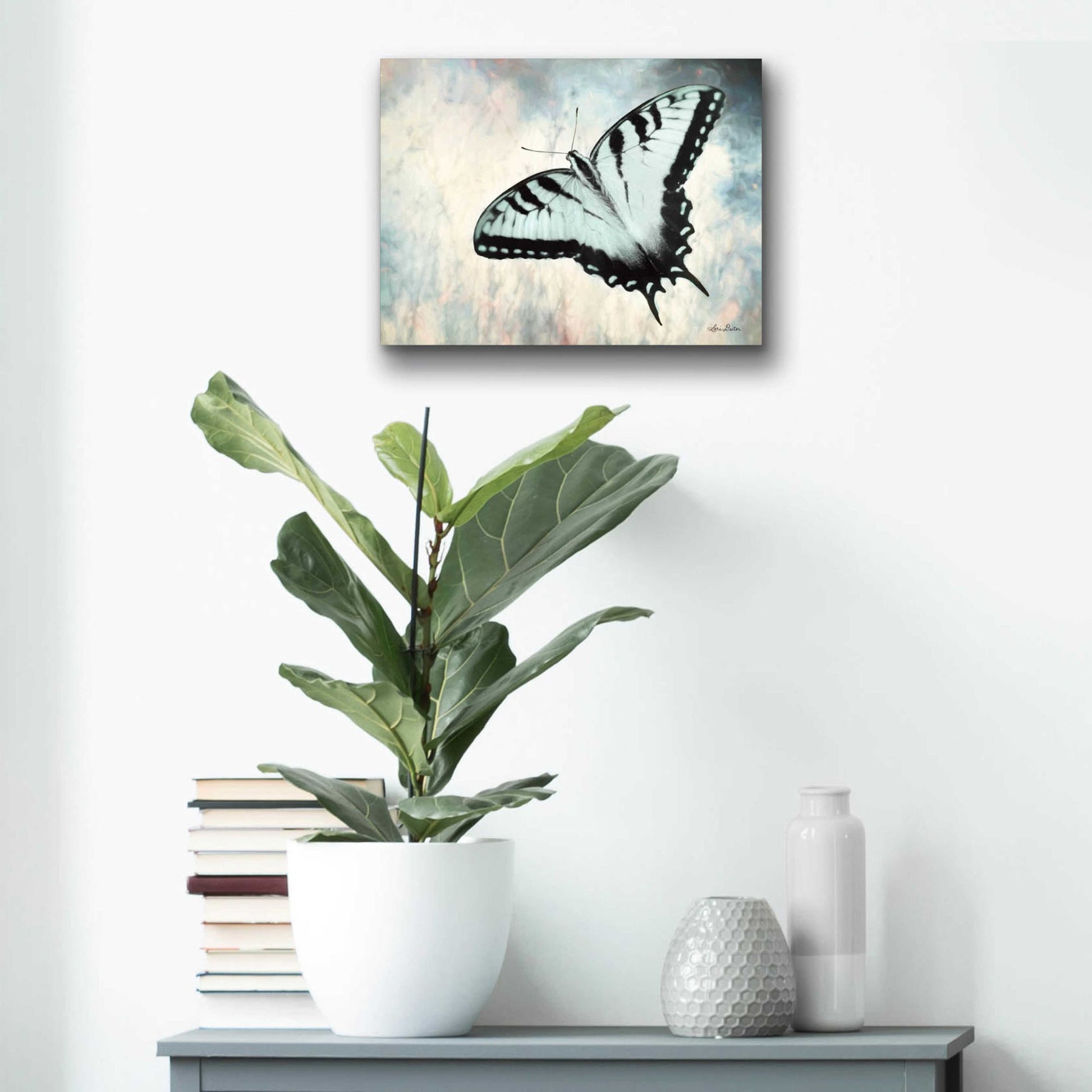 Epic Art 'Teal Butterfly II' by Lori Deiter Acrylic Glass Wall Art,16x12