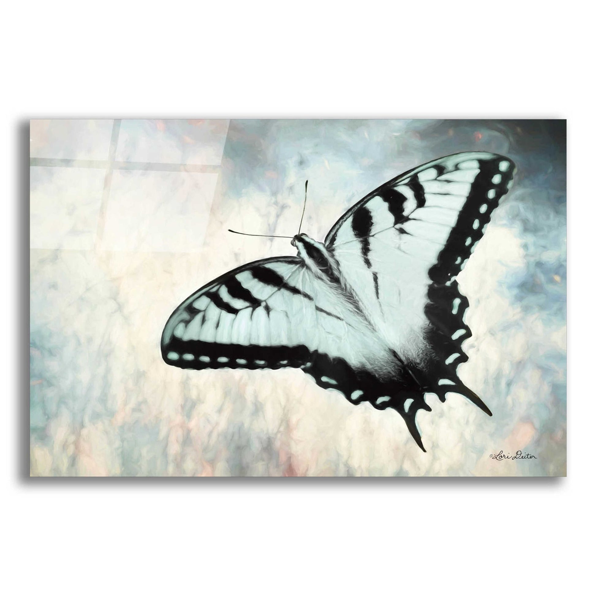 Epic Art 'Teal Butterfly II' by Lori Deiter Acrylic Glass Wall Art,24x16