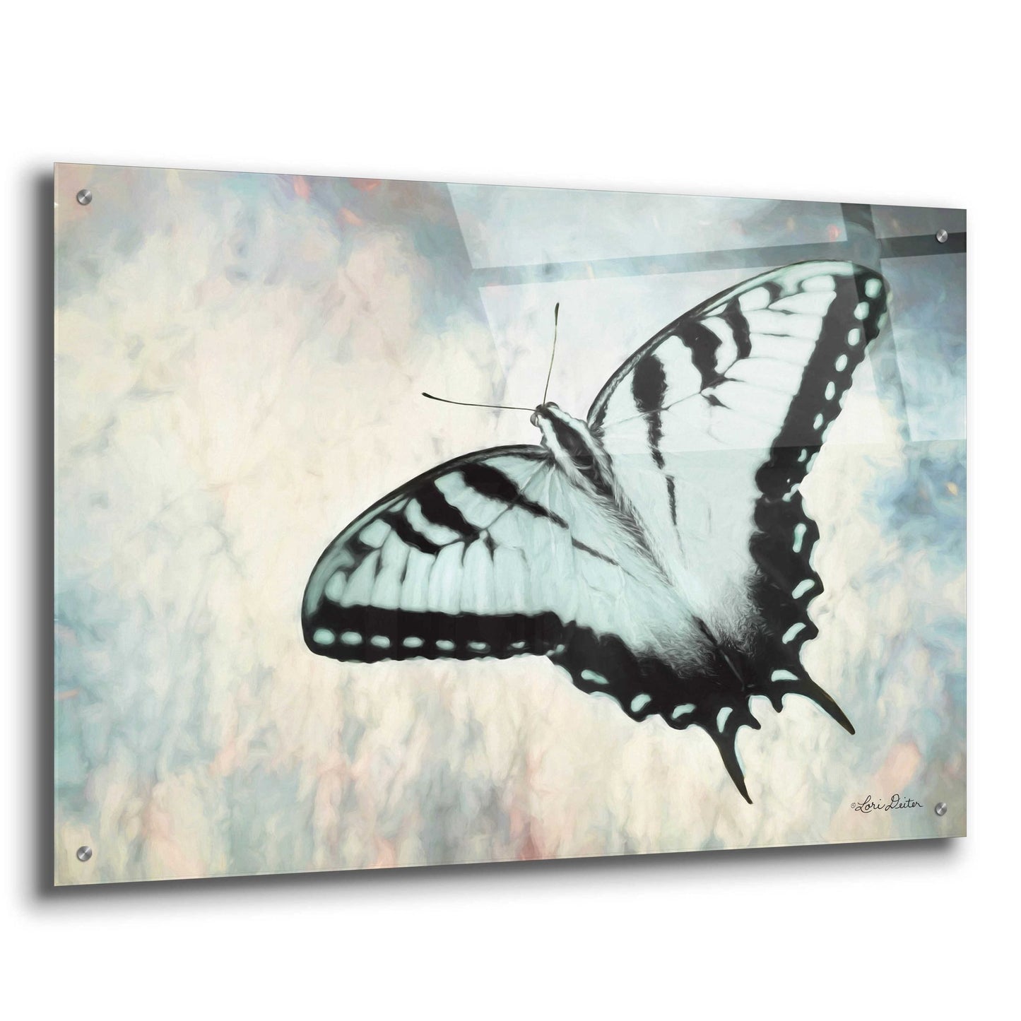 Epic Art 'Teal Butterfly II' by Lori Deiter Acrylic Glass Wall Art,36x24