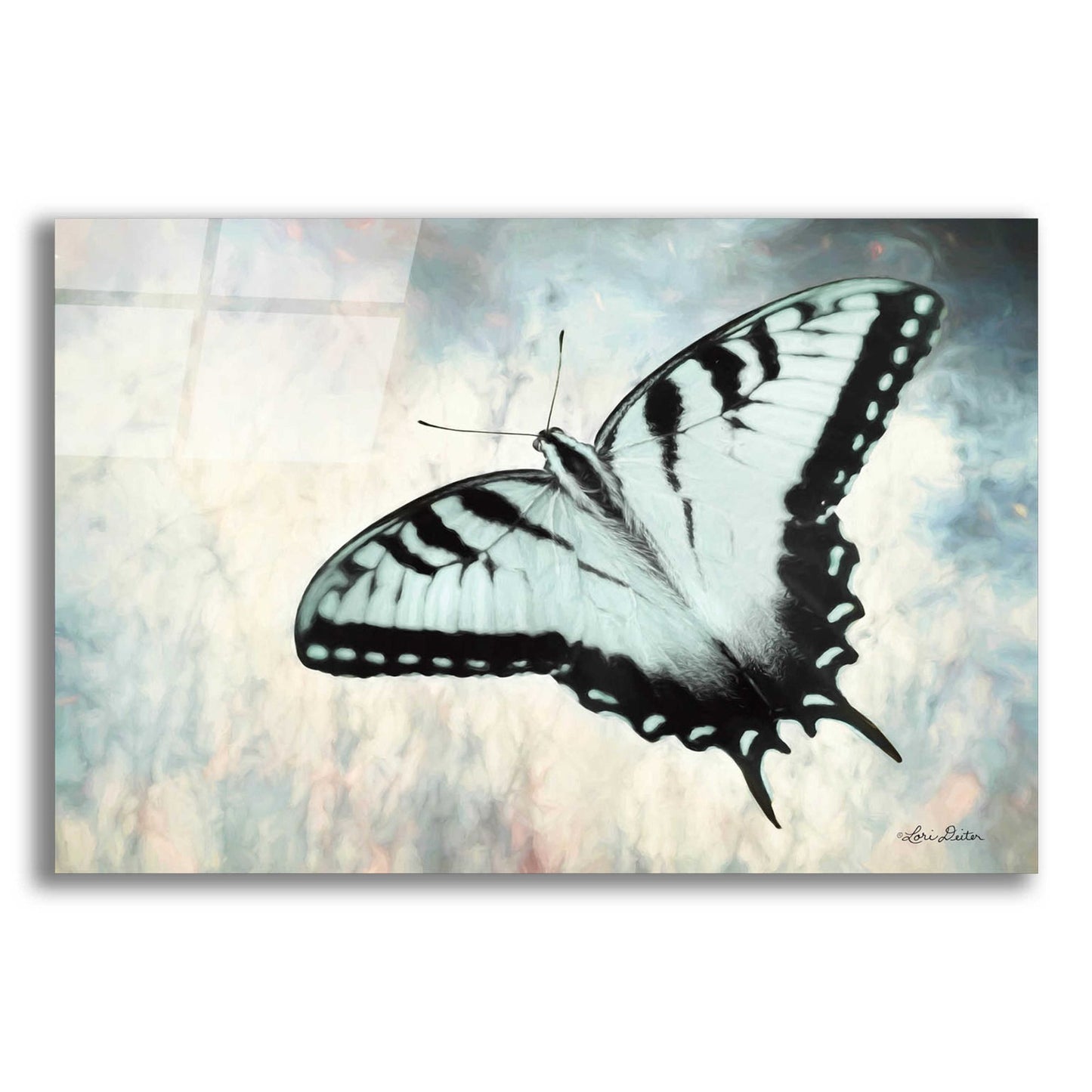 Epic Art 'Teal Butterfly II' by Lori Deiter Acrylic Glass Wall Art