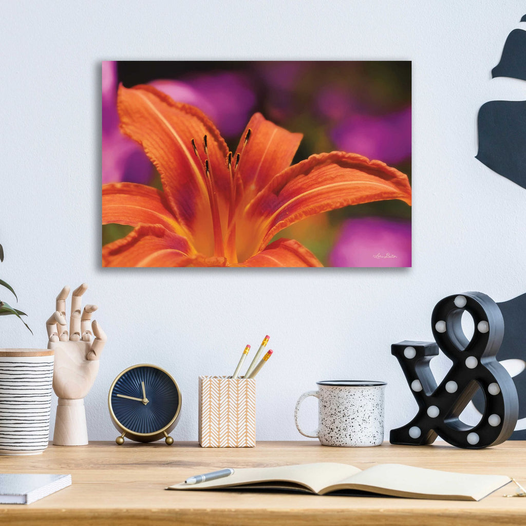 Epic Art 'Floral Pop V' by Lori Deiter Acrylic Glass Wall Art,16x12