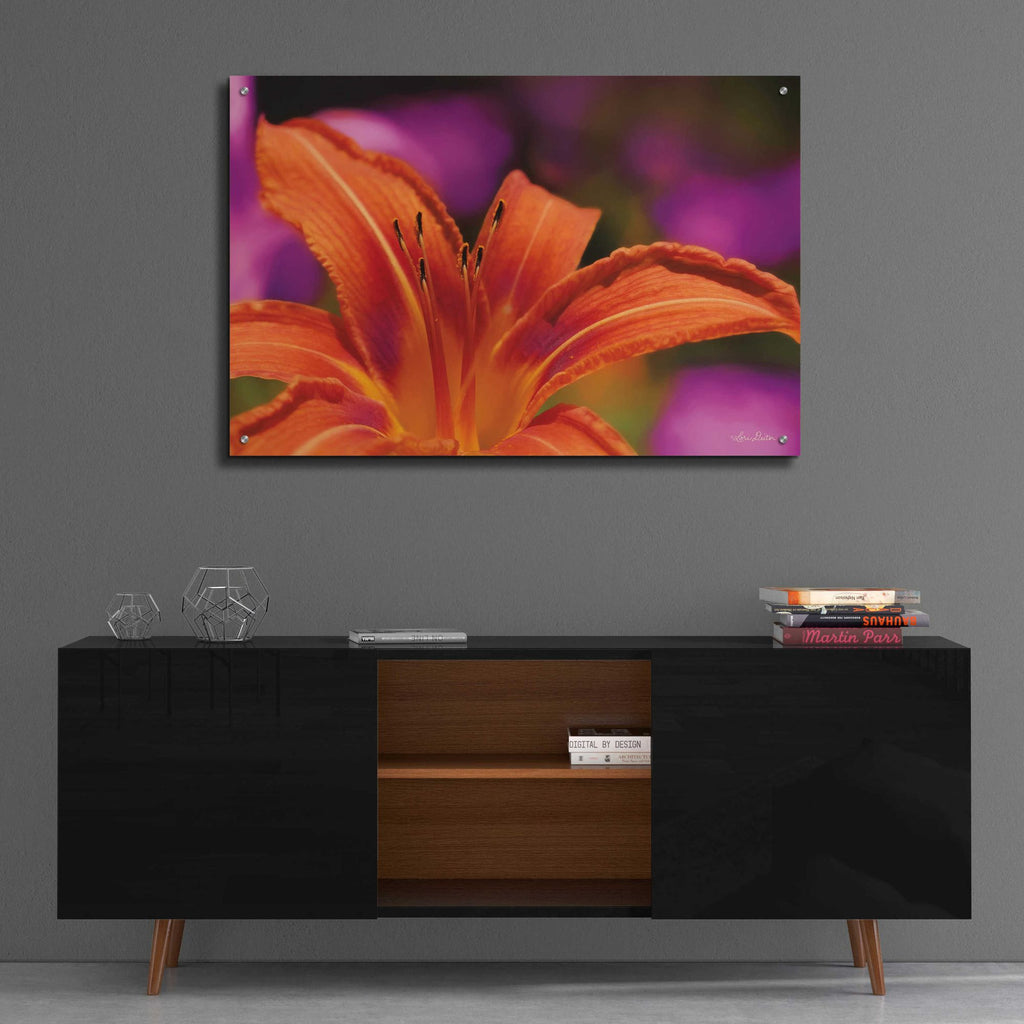 Epic Art 'Floral Pop V' by Lori Deiter Acrylic Glass Wall Art,36x24