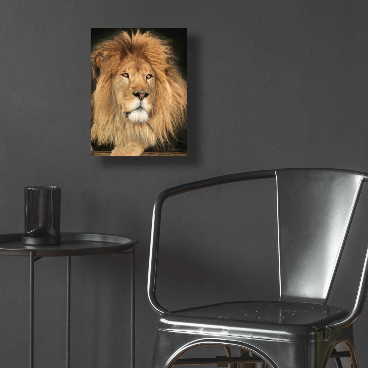 Epic Art 'King of the Jungle' by Lori Deiter Acrylic Glass Wall Art,12x16