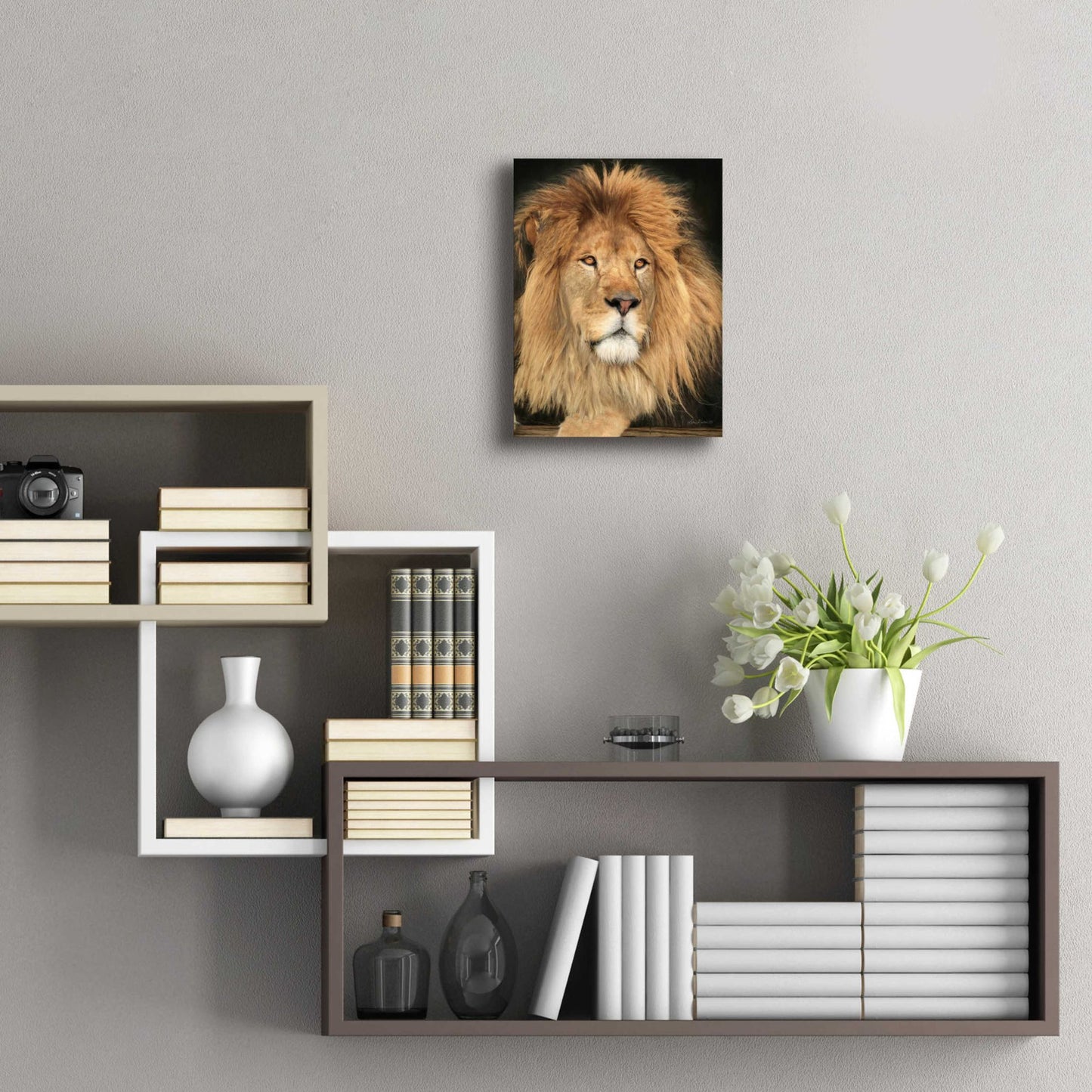 Epic Art 'King of the Jungle' by Lori Deiter Acrylic Glass Wall Art,12x16