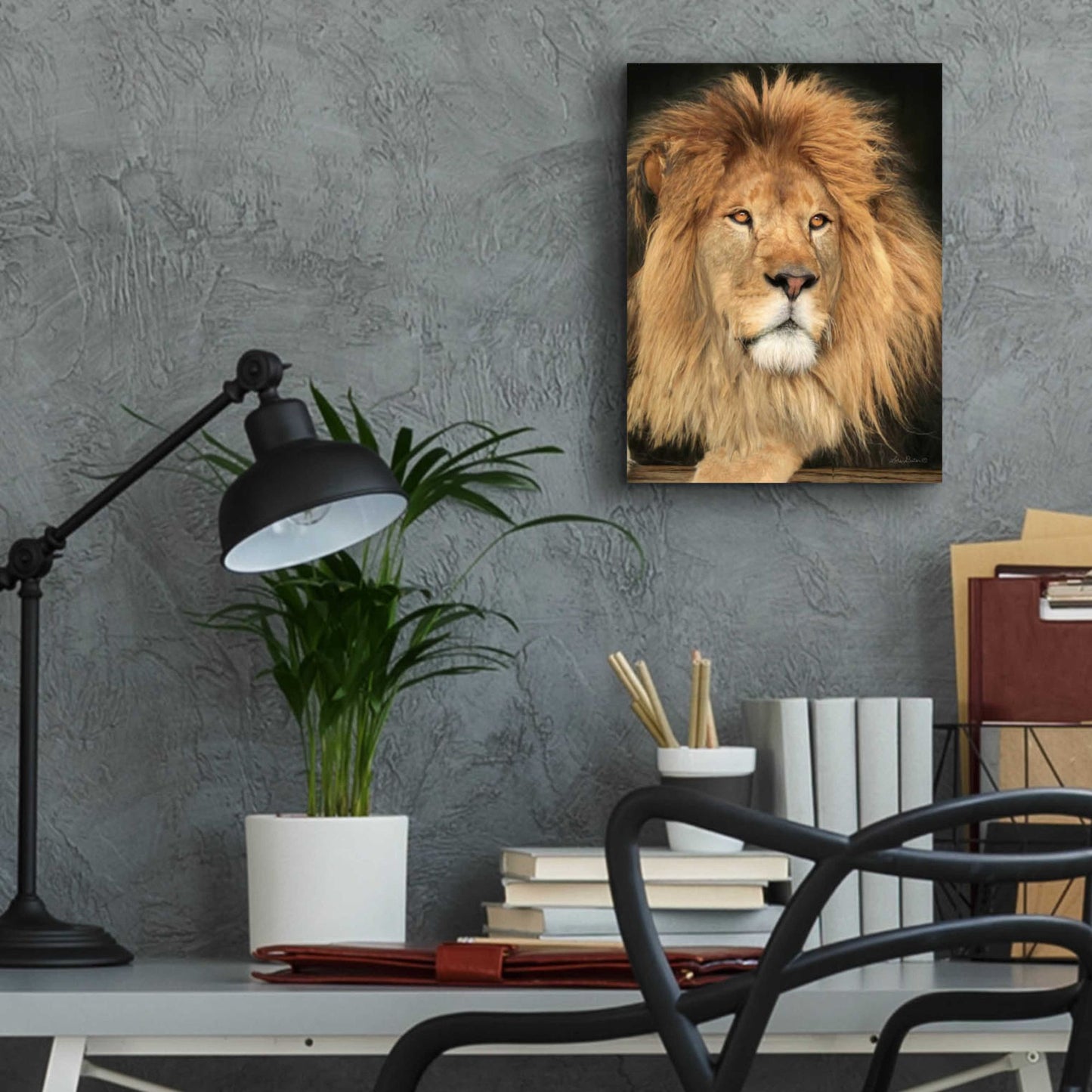 Epic Art 'King of the Jungle' by Lori Deiter Acrylic Glass Wall Art,12x16