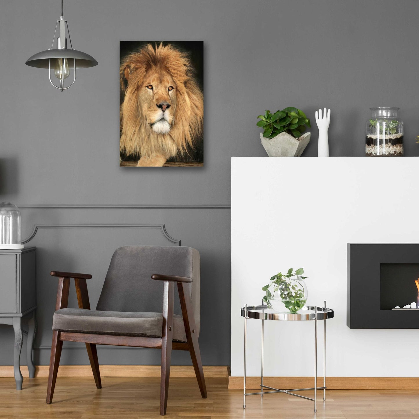 Epic Art 'King of the Jungle' by Lori Deiter Acrylic Glass Wall Art,16x24