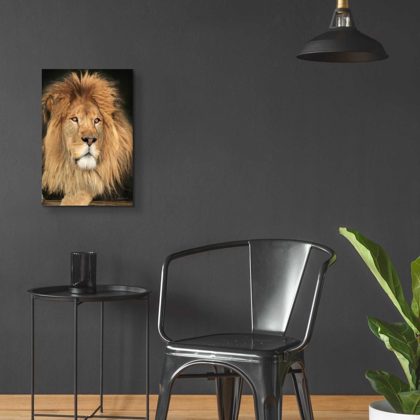 Epic Art 'King of the Jungle' by Lori Deiter Acrylic Glass Wall Art,16x24