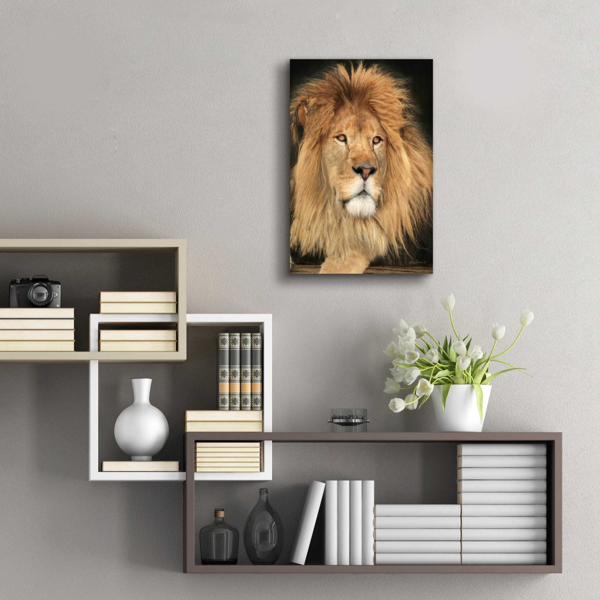 Epic Art 'King of the Jungle' by Lori Deiter Acrylic Glass Wall Art,16x24