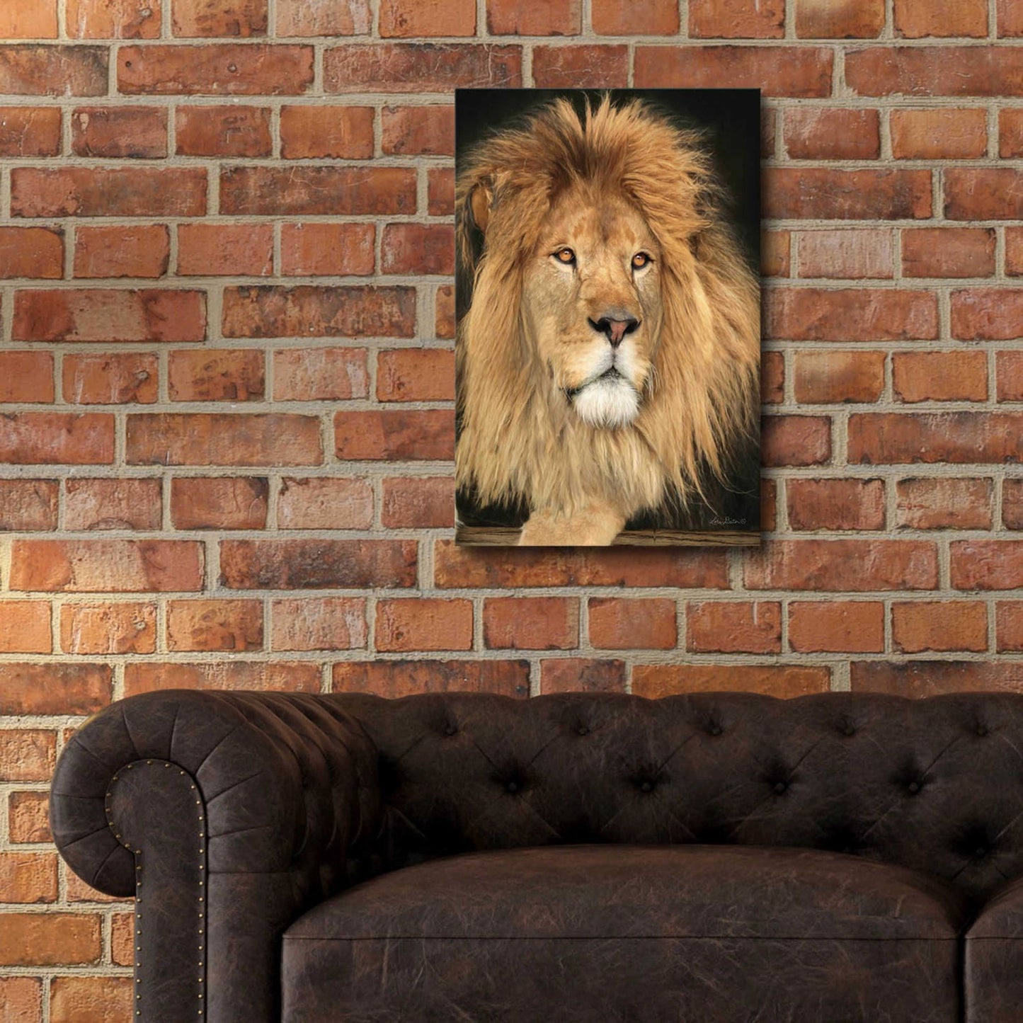 Epic Art 'King of the Jungle' by Lori Deiter Acrylic Glass Wall Art,16x24