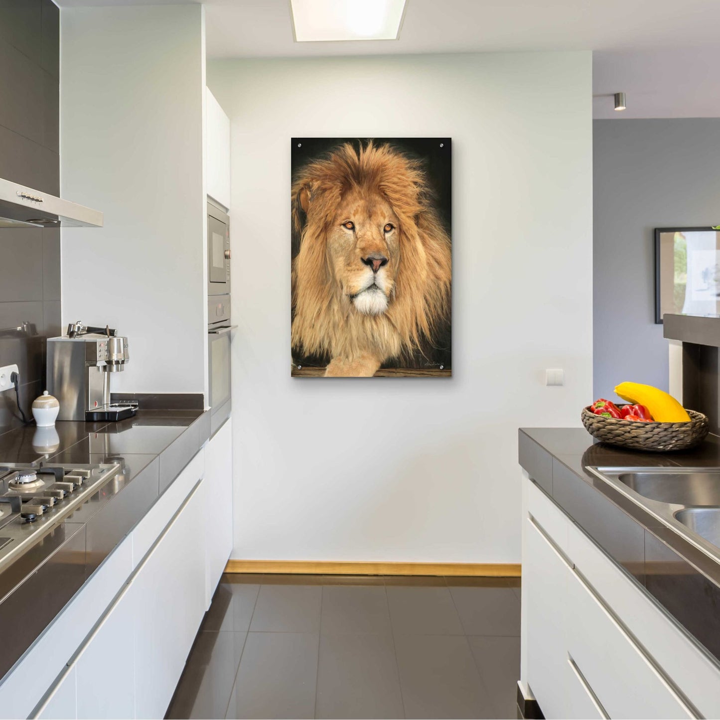 Epic Art 'King of the Jungle' by Lori Deiter Acrylic Glass Wall Art,24x36