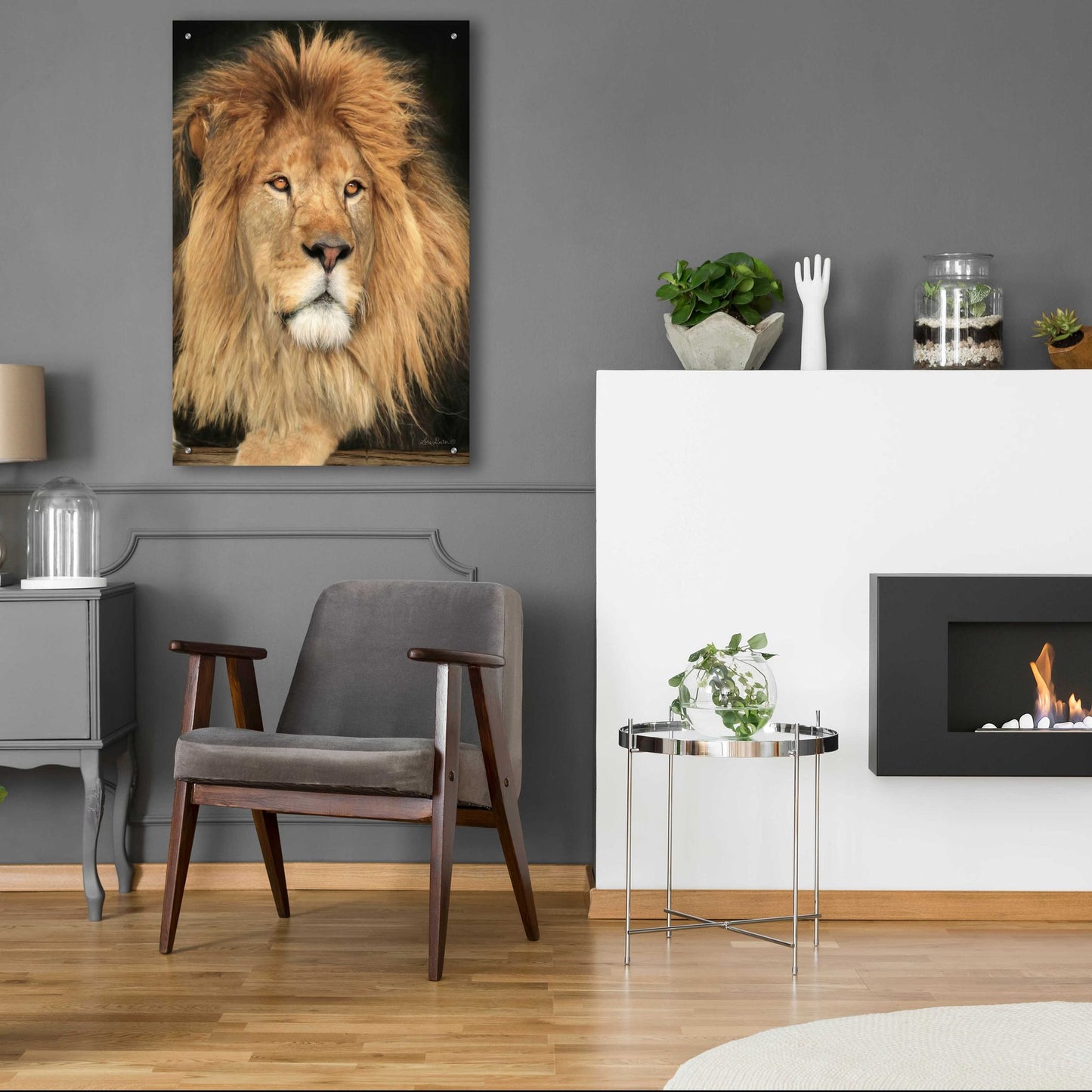 Epic Art 'King of the Jungle' by Lori Deiter Acrylic Glass Wall Art,24x36