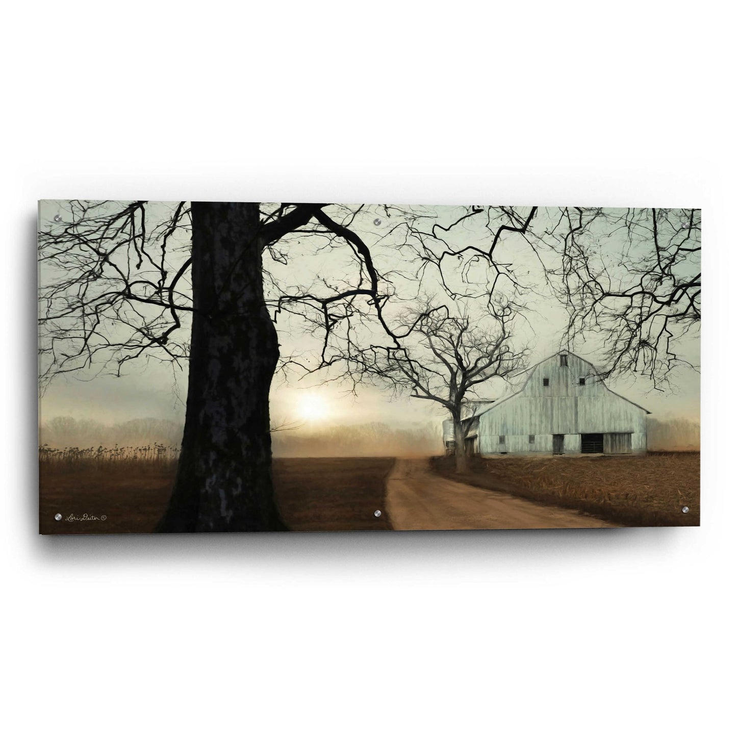 Epic Art 'Millersburg Sunrise' by Lori Deiter Acrylic Glass Wall Art,48x24