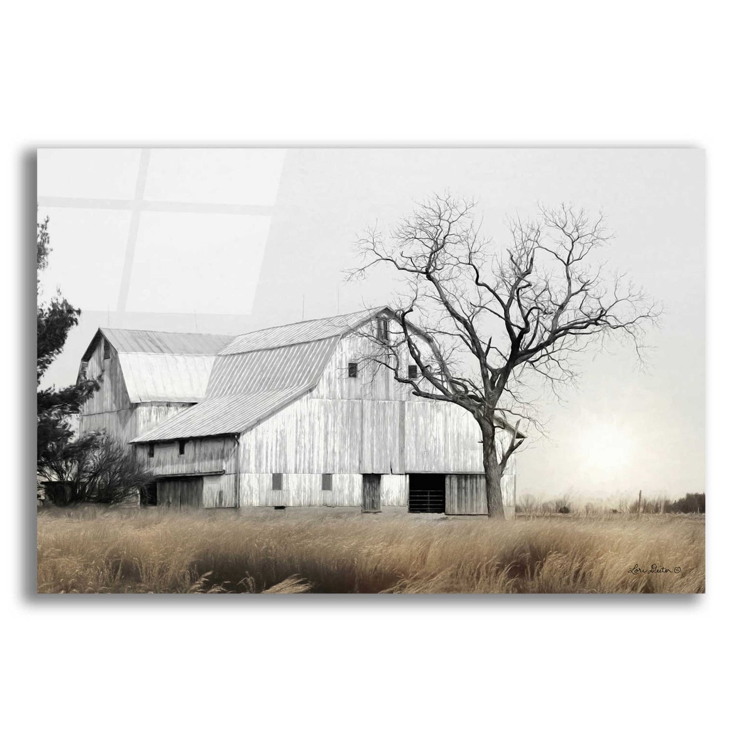 Epic Art 'Ohio Fields I' by Lori Deiter Acrylic Glass Wall Art,24x16