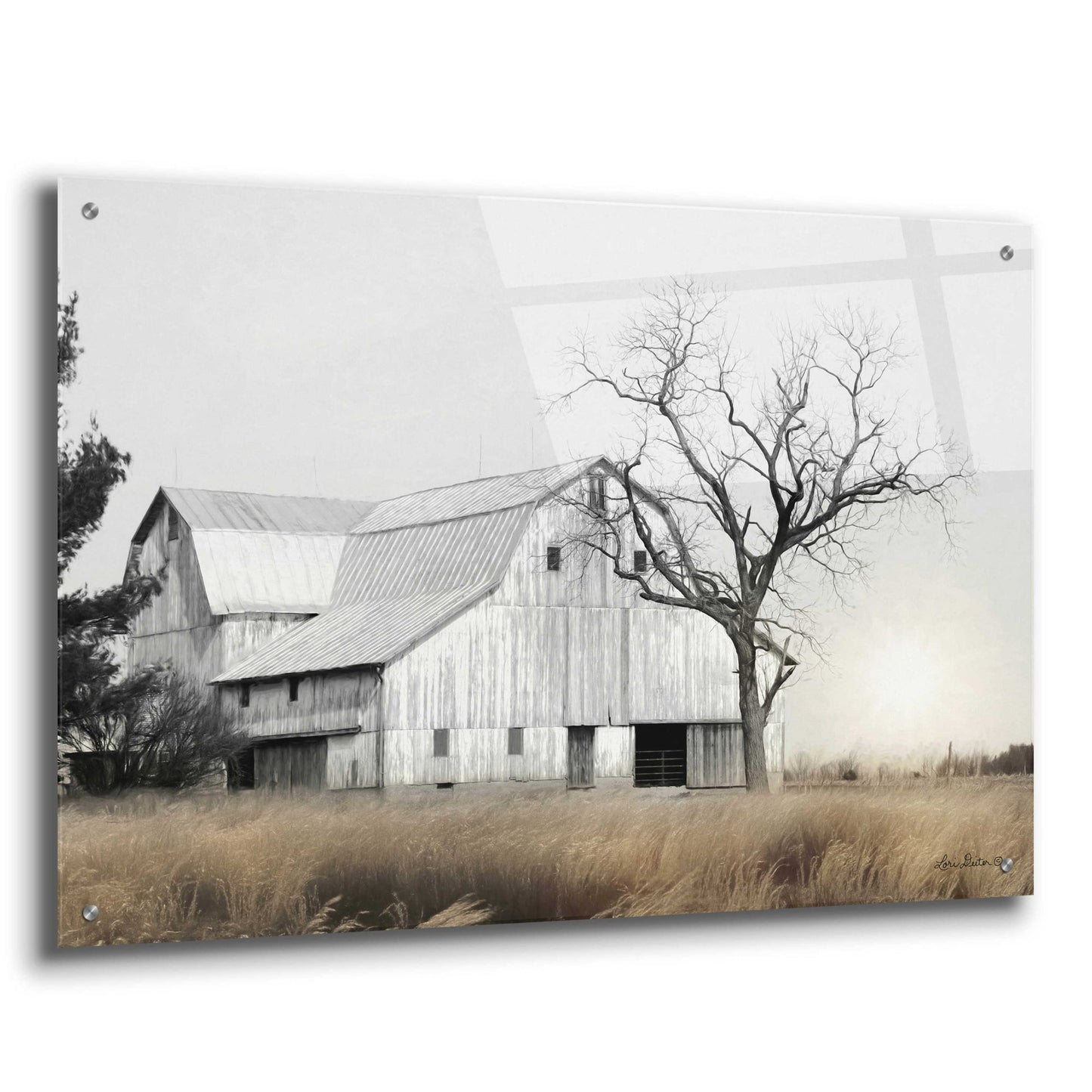 Epic Art 'Ohio Fields I' by Lori Deiter Acrylic Glass Wall Art,36x24