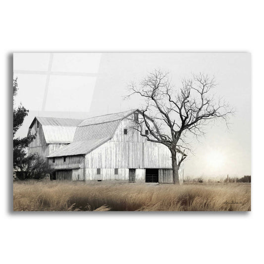 Epic Art 'Ohio Fields I' by Lori Deiter Acrylic Glass Wall Art