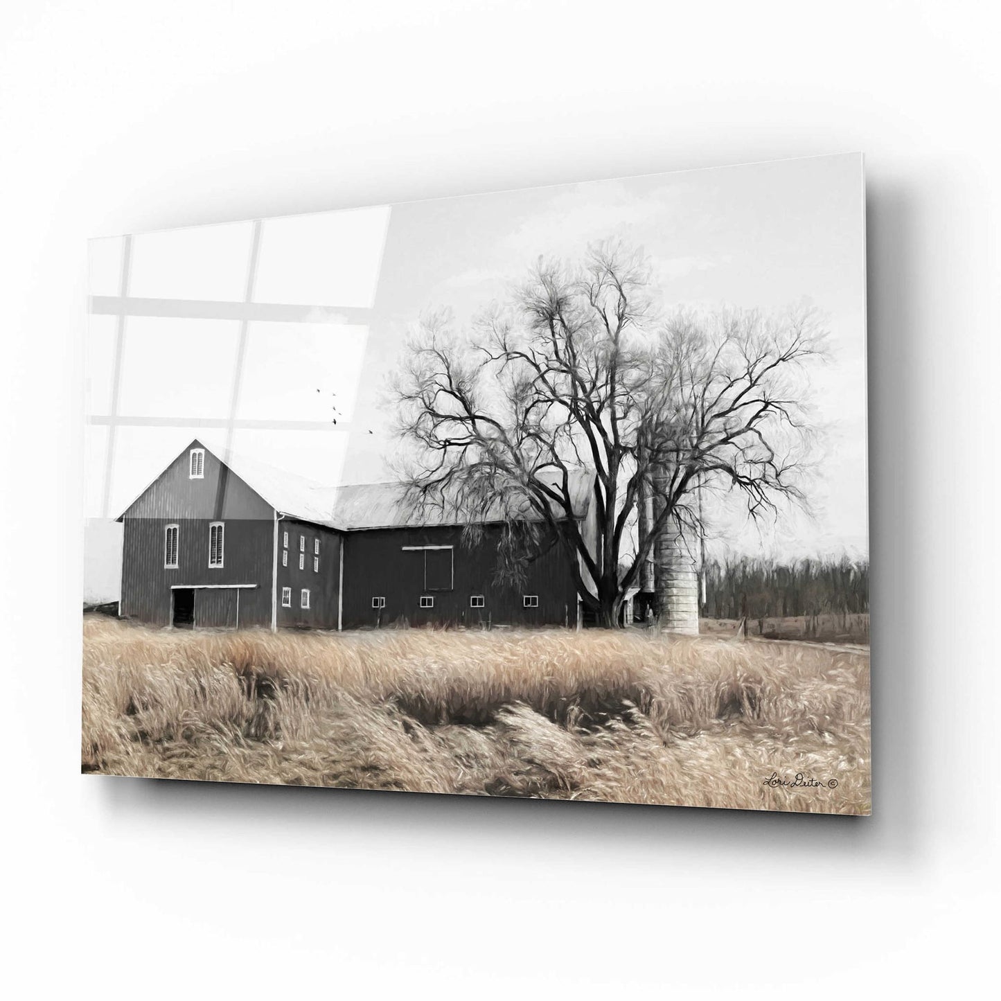 Epic Art 'Ohio Fields II' by Lori Deiter Acrylic Glass Wall Art,16x12