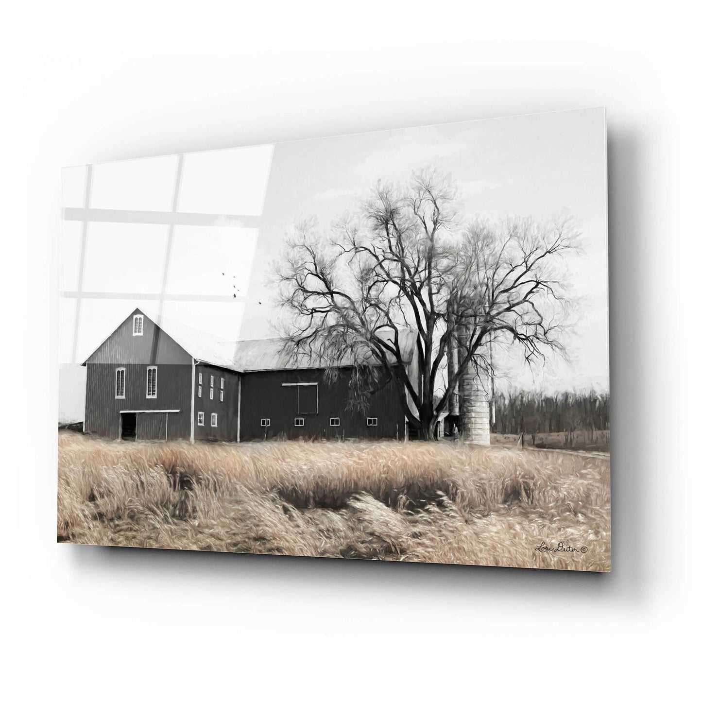 Epic Art 'Ohio Fields II' by Lori Deiter Acrylic Glass Wall Art,24x16