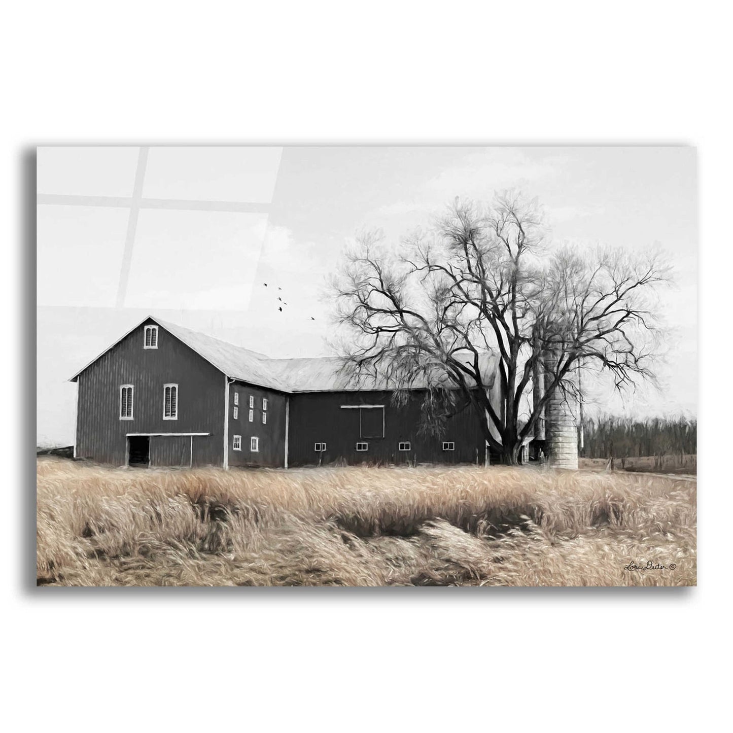 Epic Art 'Ohio Fields II' by Lori Deiter Acrylic Glass Wall Art,24x16