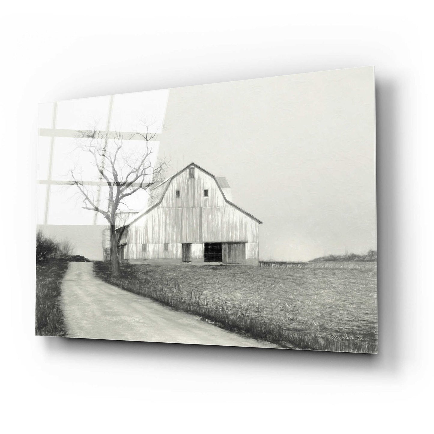 Epic Art 'Ohio Fields III' by Lori Deiter Acrylic Glass Wall Art,24x16