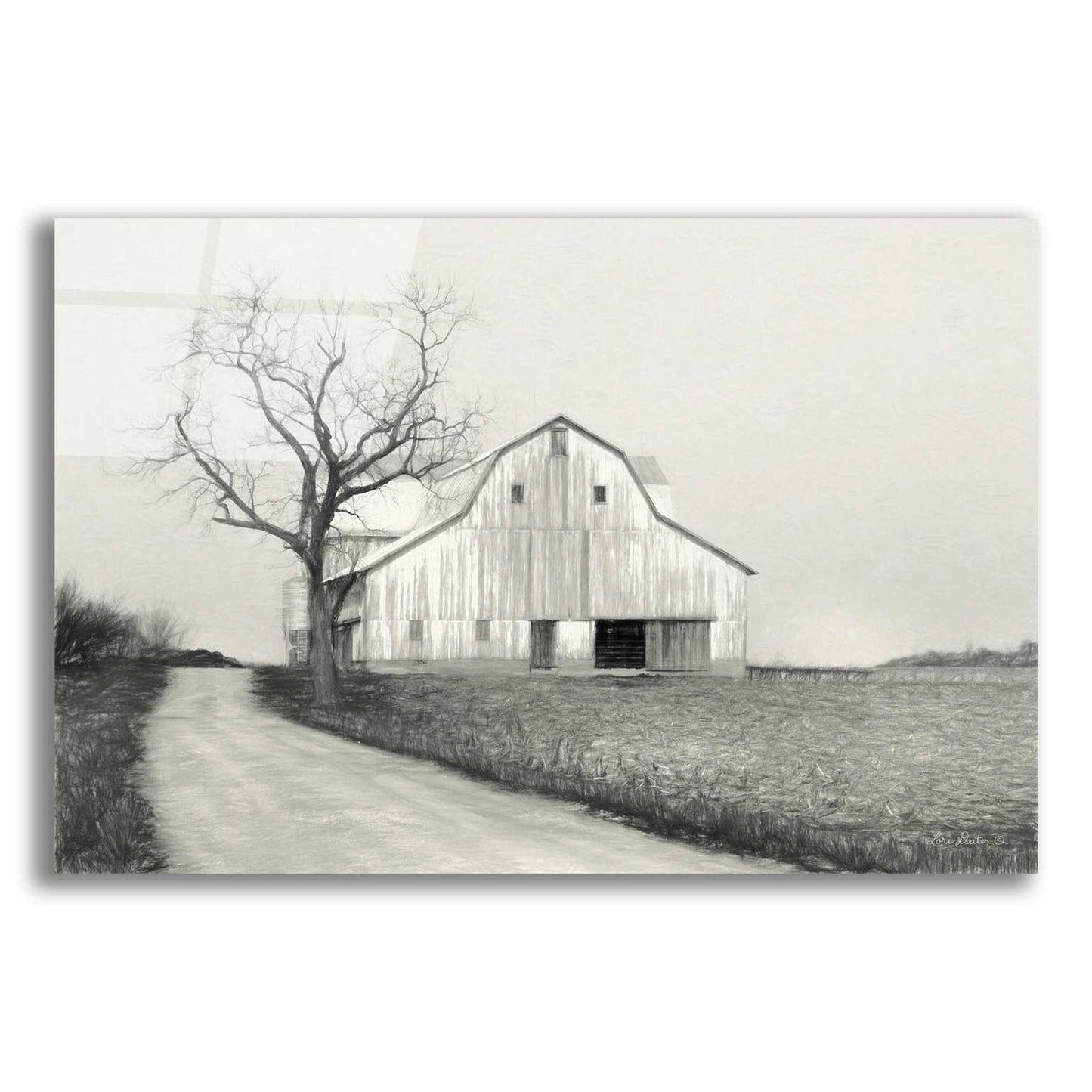 Epic Art 'Ohio Fields III' by Lori Deiter Acrylic Glass Wall Art,24x16