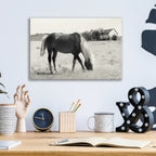 Epic Art 'Summer Grazing' by Lori Deiter Acrylic Glass Wall Art,16x12