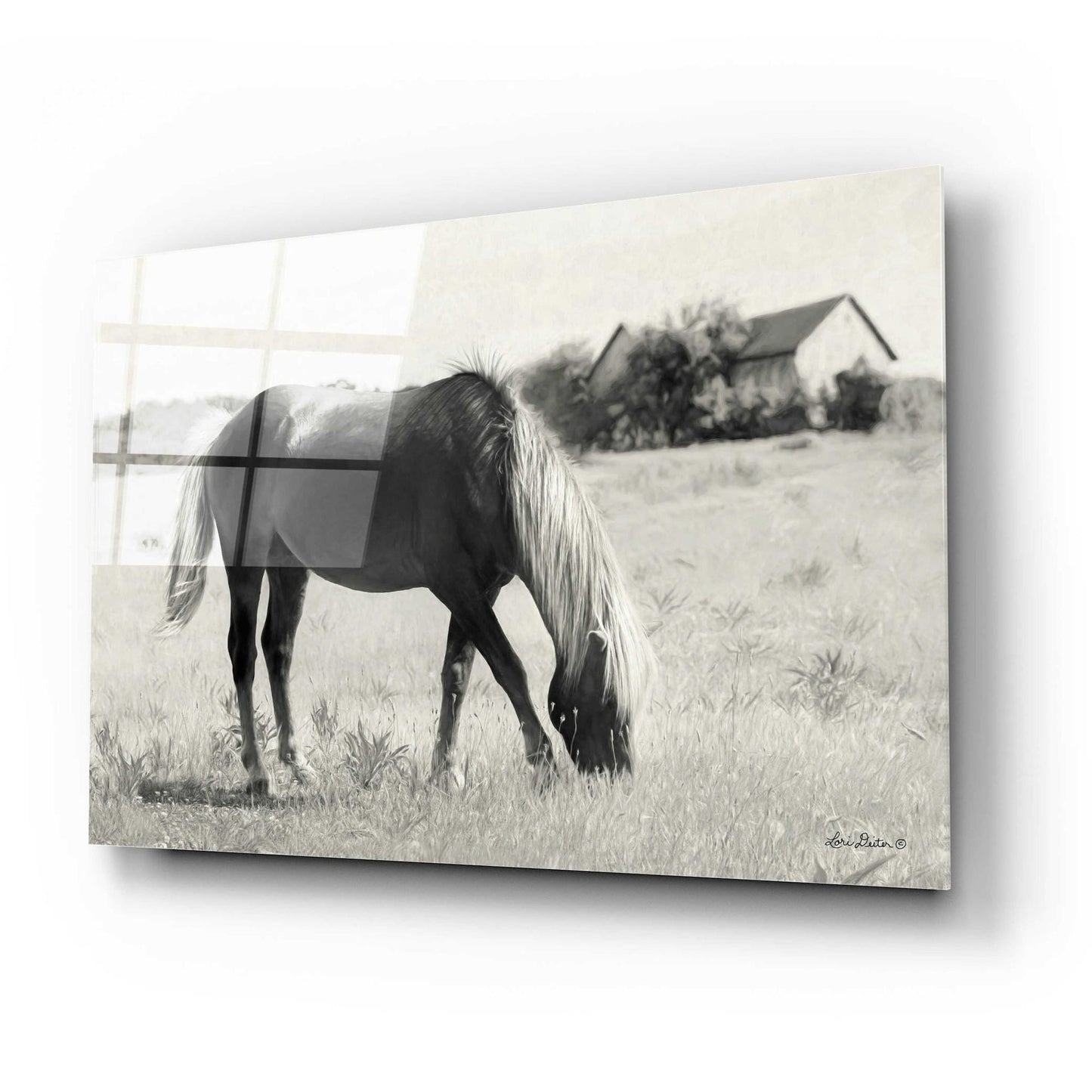 Epic Art 'Summer Grazing' by Lori Deiter Acrylic Glass Wall Art,24x16