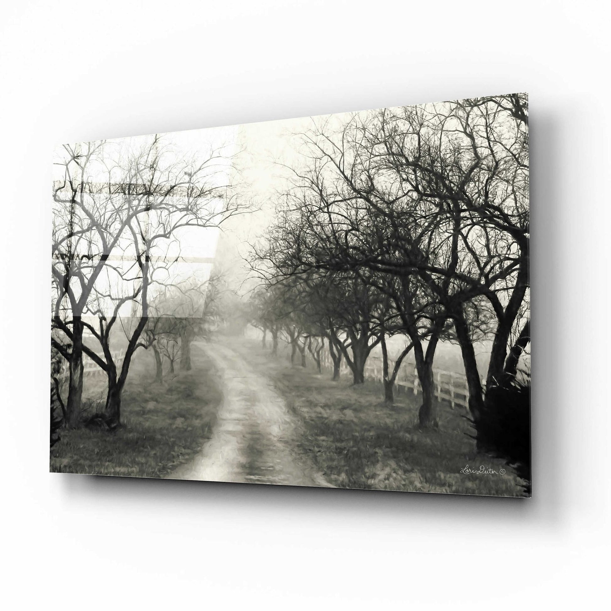 Epic Art 'Foggy Lane' by Lori Deiter Acrylic Glass Wall Art,16x12