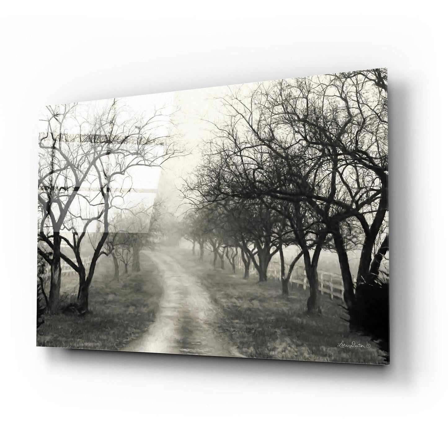 Epic Art 'Foggy Lane' by Lori Deiter Acrylic Glass Wall Art,24x16