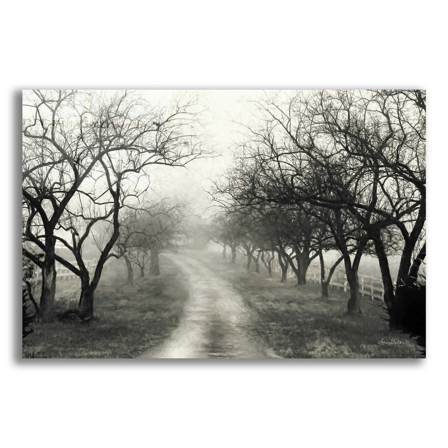 Epic Art 'Foggy Lane' by Lori Deiter Acrylic Glass Wall Art,24x16