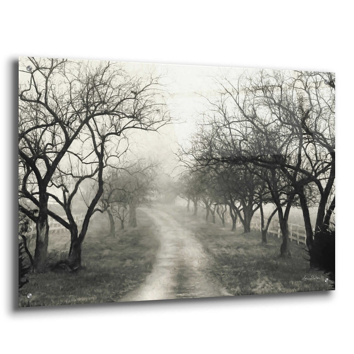 Epic Art 'Foggy Lane' by Lori Deiter Acrylic Glass Wall Art,36x24