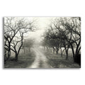 Epic Art 'Foggy Lane' by Lori Deiter Acrylic Glass Wall Art
