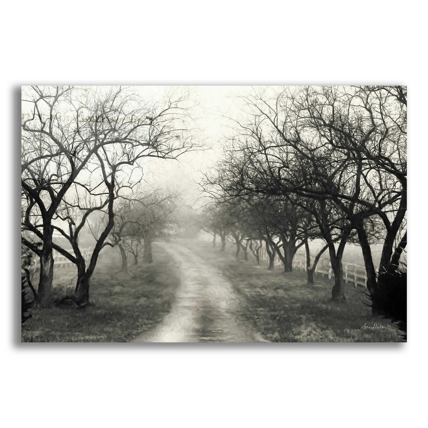 Epic Art 'Foggy Lane' by Lori Deiter Acrylic Glass Wall Art