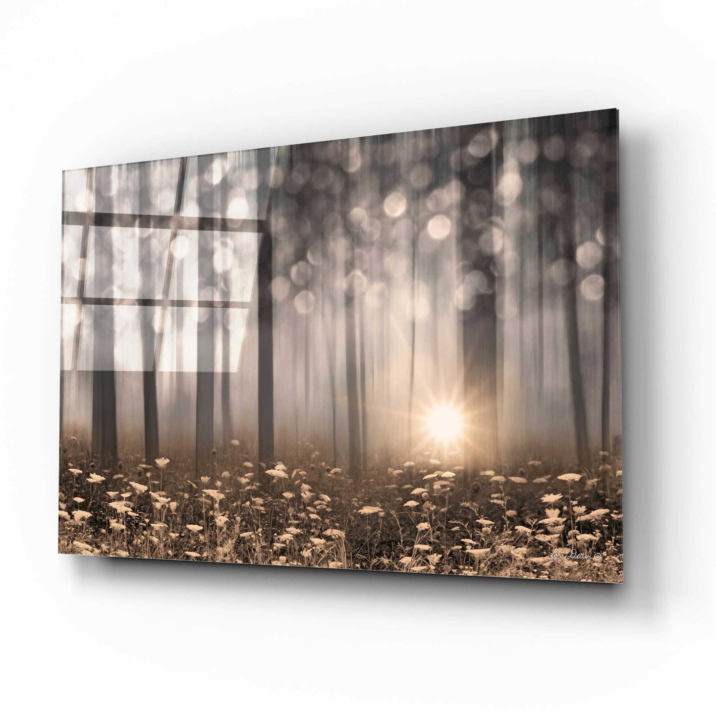 Epic Art 'Enchanted Morning' by Lori Deiter Acrylic Glass Wall Art,16x12