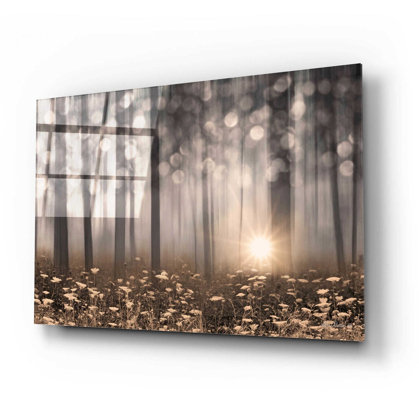 Epic Art 'Enchanted Morning' by Lori Deiter Acrylic Glass Wall Art,24x16